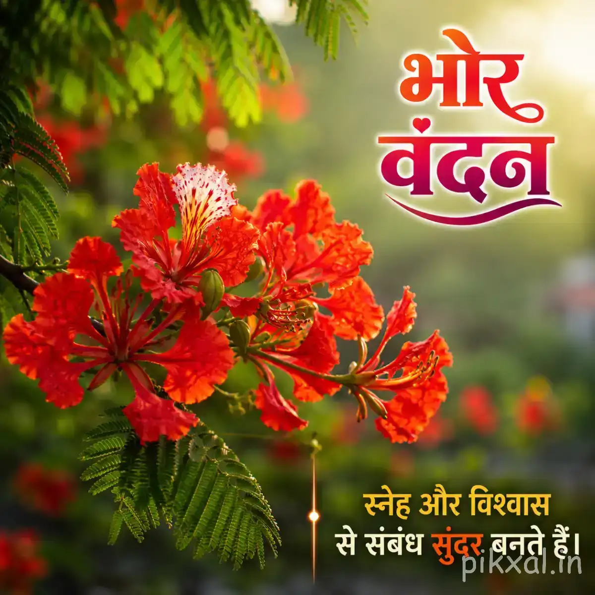 Several red flowers with long stamens and green leaves against blurred foliage with a Hindi morning wish