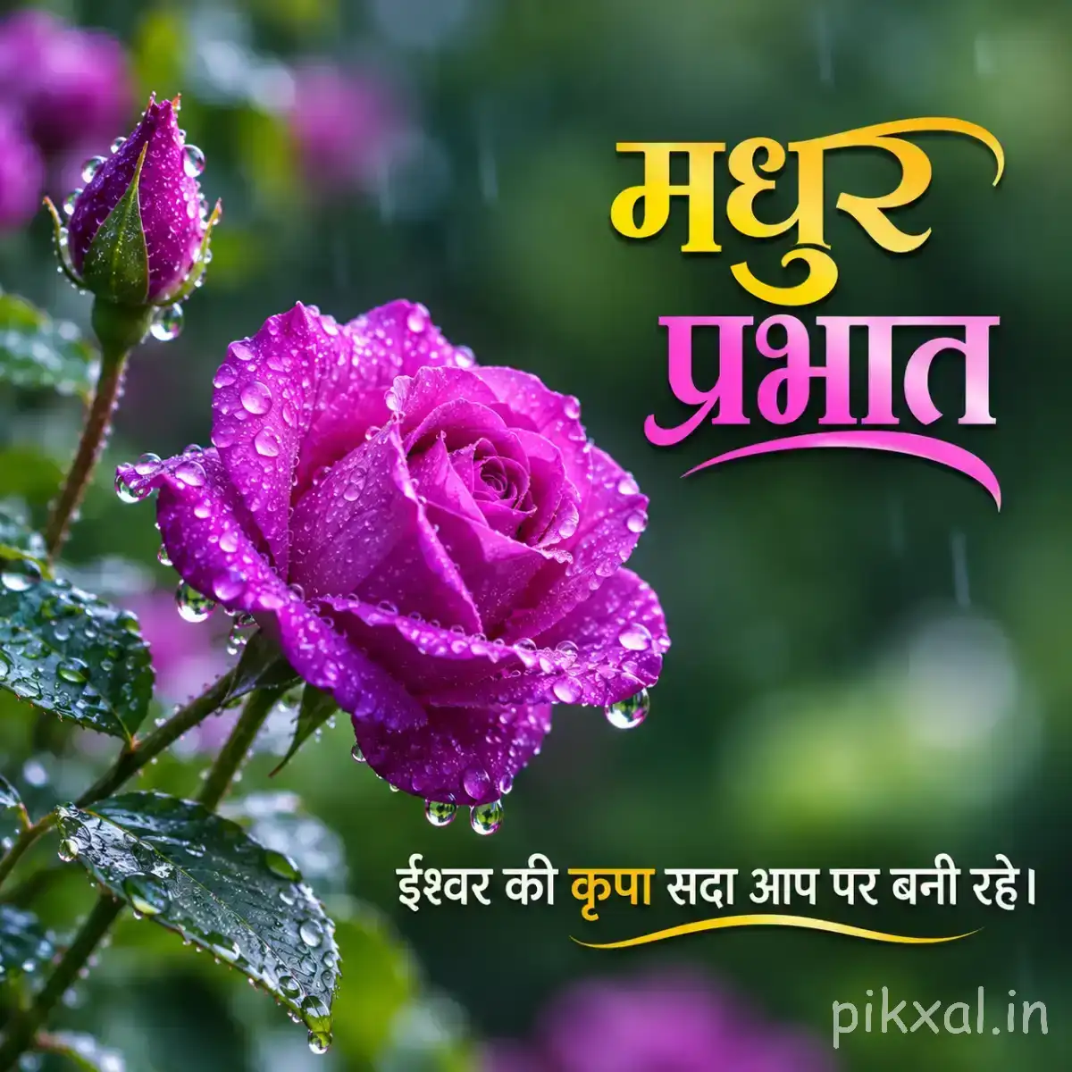 Purple layered flower with a closed bud and green leaves beside a Hindi morning greeting