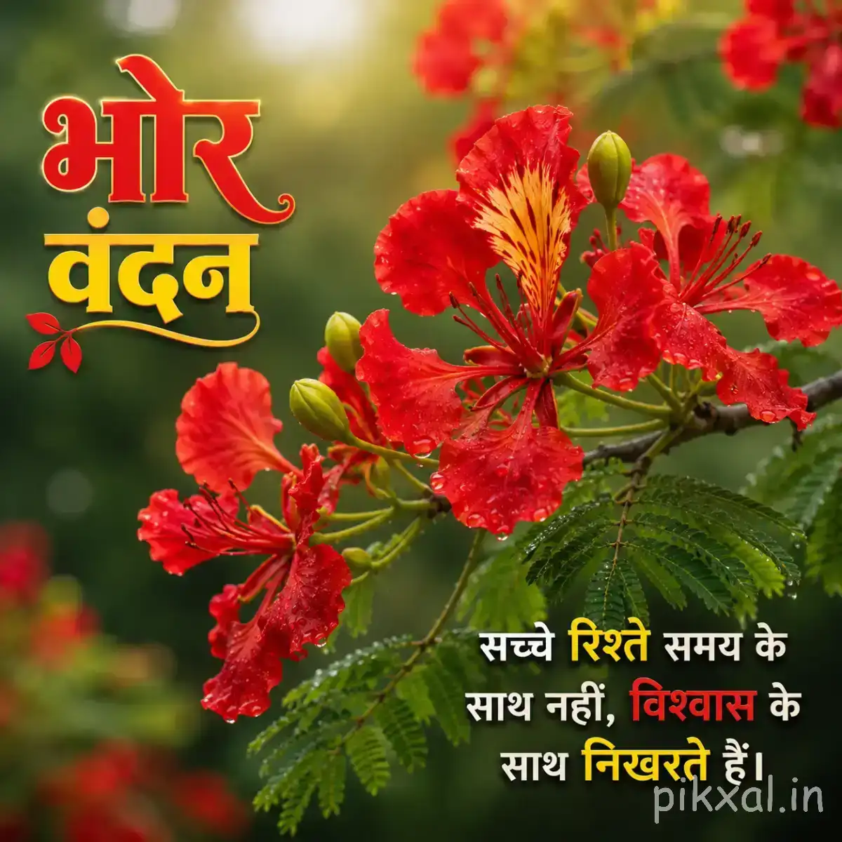 Red flowers with long stamens and green leaves against blurred foliage with a Hindi morning message