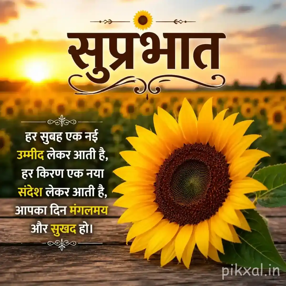 Large yellow flower with a dark center beside a Hindi Good Morning greeting and a small decorative pot