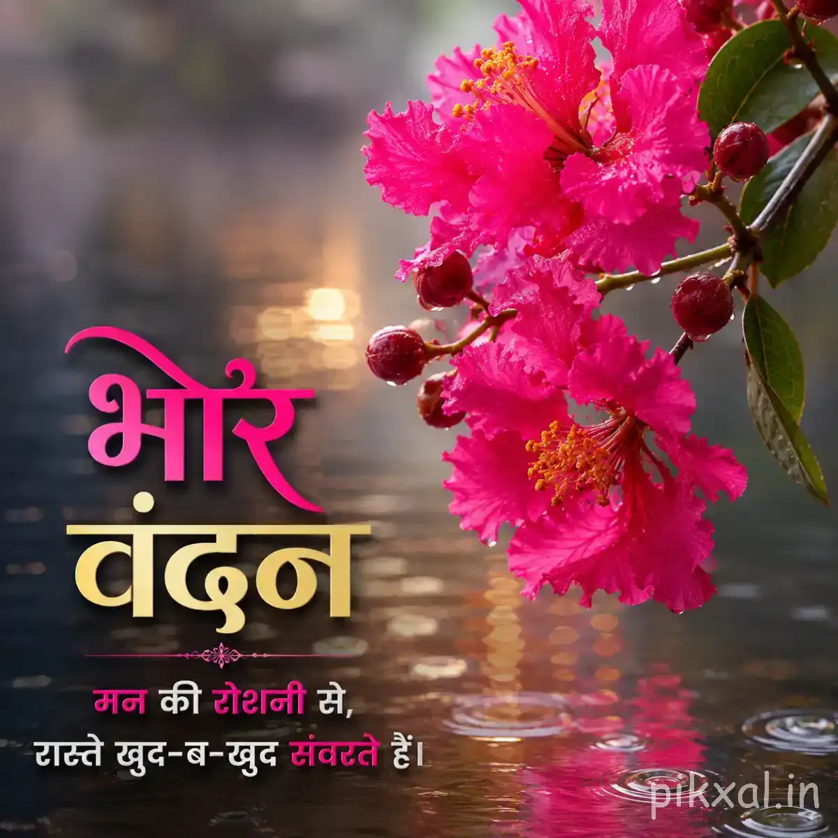 Bright pink flowers with dark centers and green leaves beside water with a Hindi morning greeting