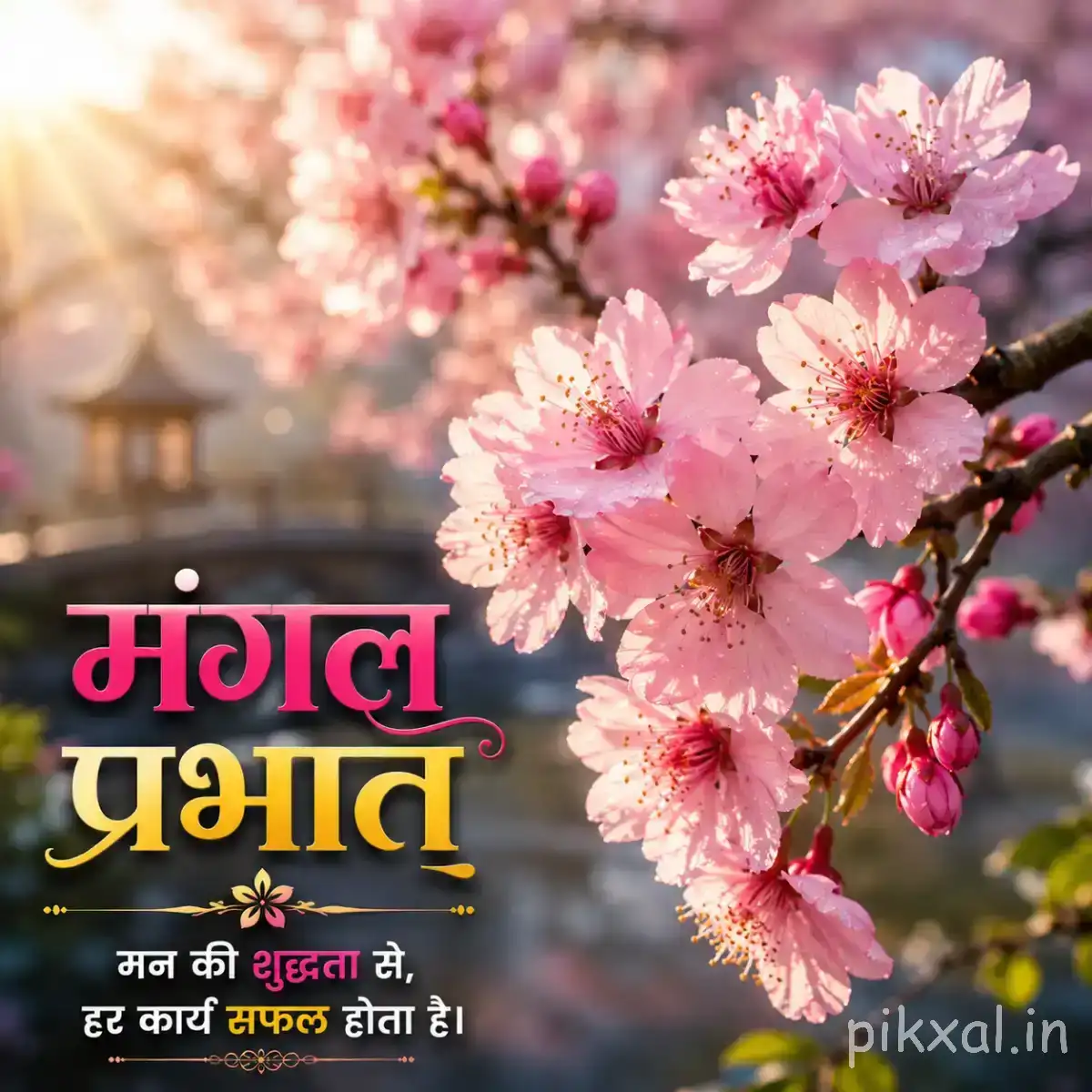 Pink flowers on a flowering branch beside an orange-yellow flower in a vase with a Hindi morning message