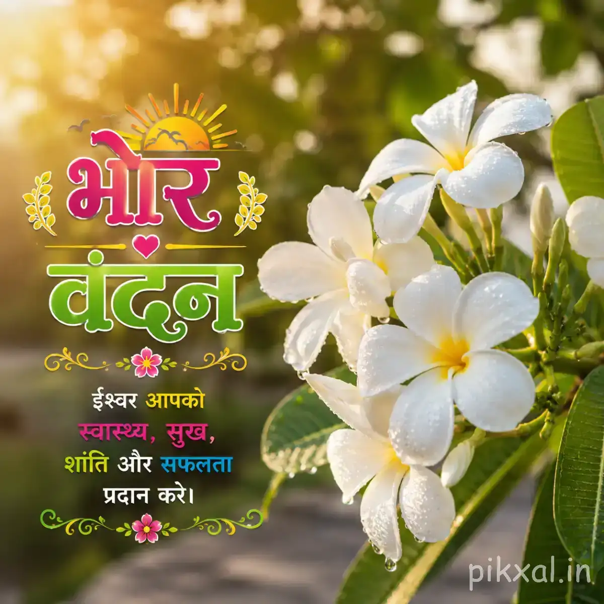 Several white flowers with yellow centers and green leaves beside a Hindi morning message