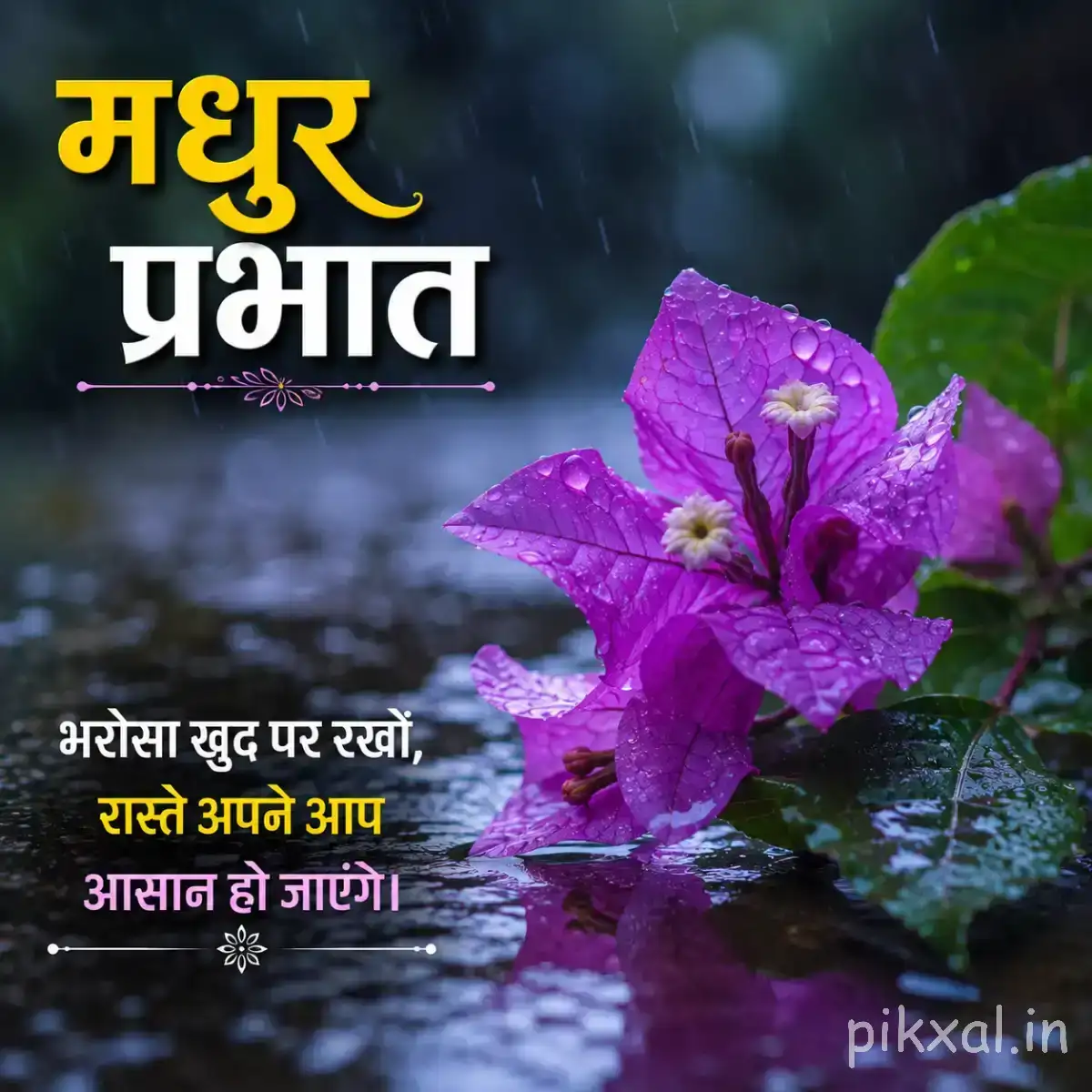 Single purple flower with pointed petals beside green leaves against a dark background with a Hindi morning greeting