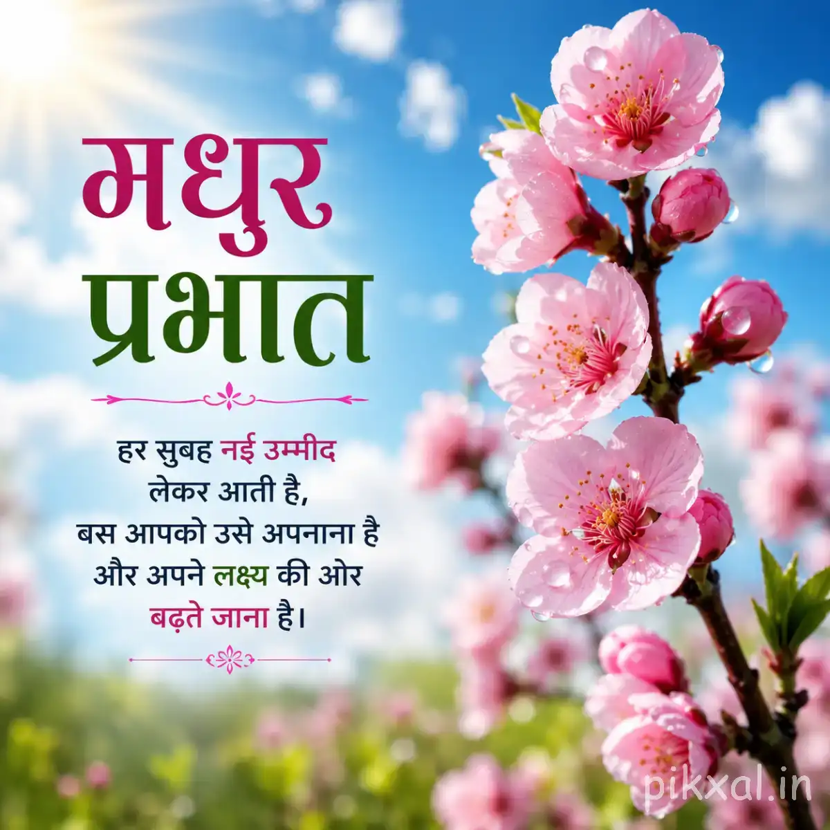 Pink flowers and buds on slender branches against a bright blue background with a Hindi morning greeting