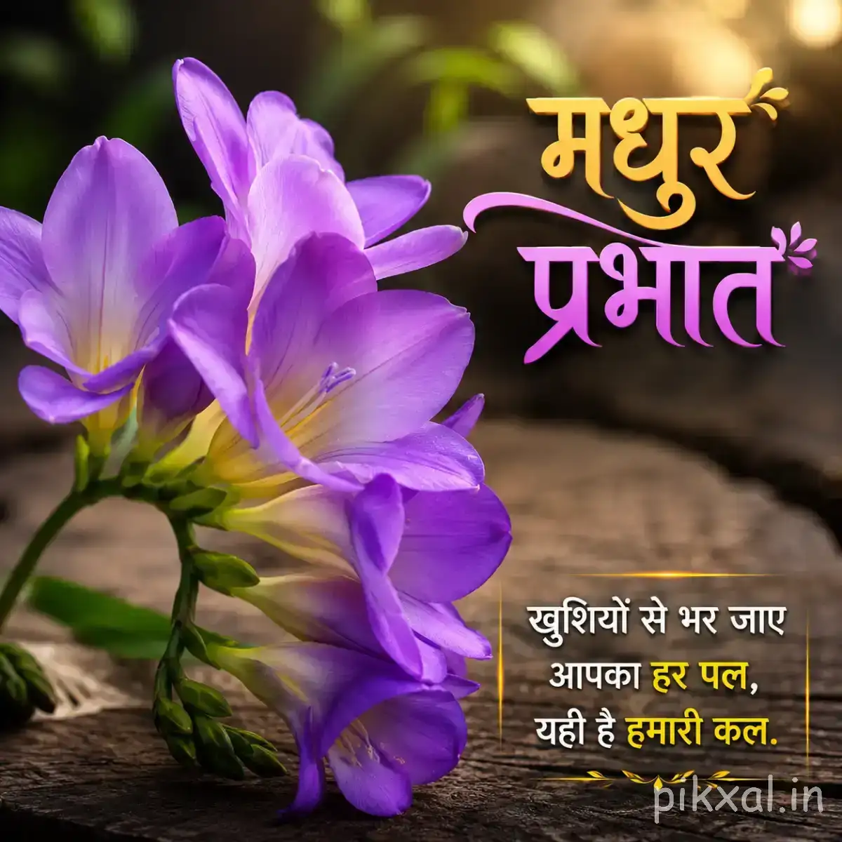 Several purple flowers with elongated petals and green stems beside a Hindi Good Morning wish