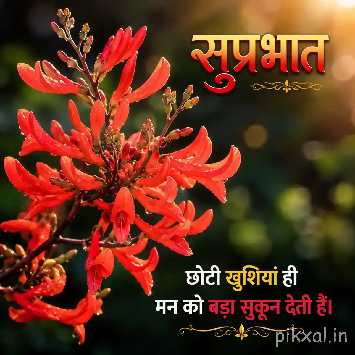 Red tubular flowers clustered along a slender flowering branch with small leaves and a Hindi Good Morning wish
