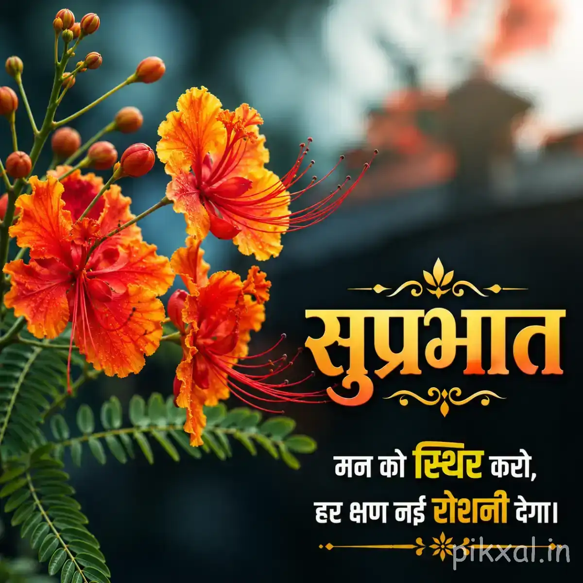 Orange-red clustered flowers with rounded petals and green foliage against a softly blurred background