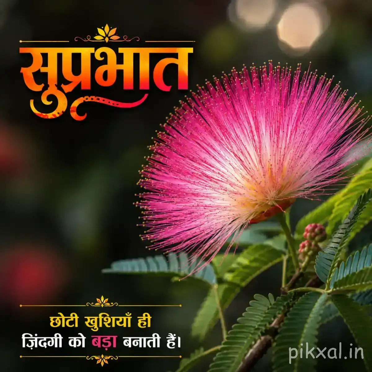 Purple and pink flower with intricate radiating filaments and green foliage against a dark background with a Hindi morning wish