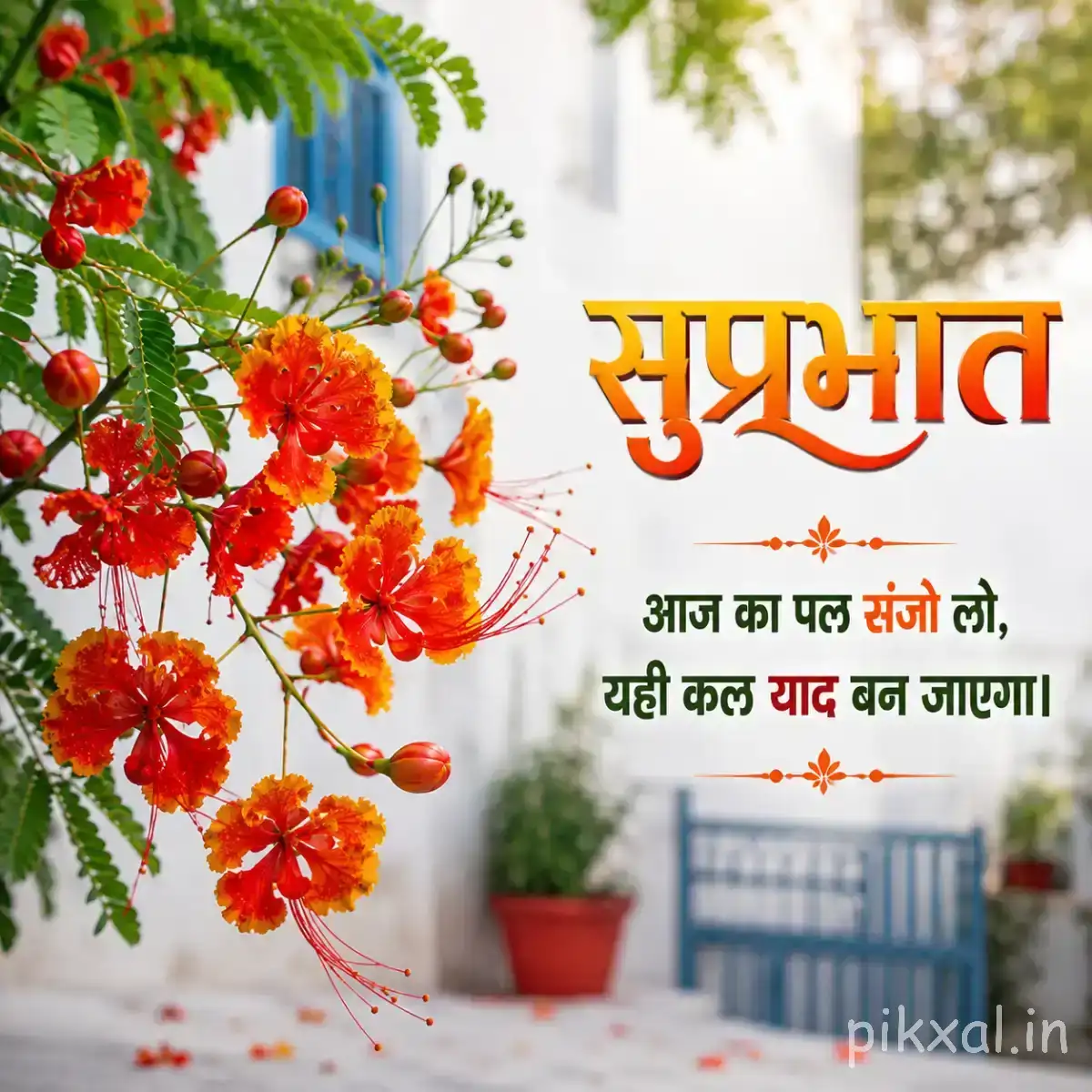 Orange flowers growing along leafy branches beside potted plants with a Hindi Good Morning wish