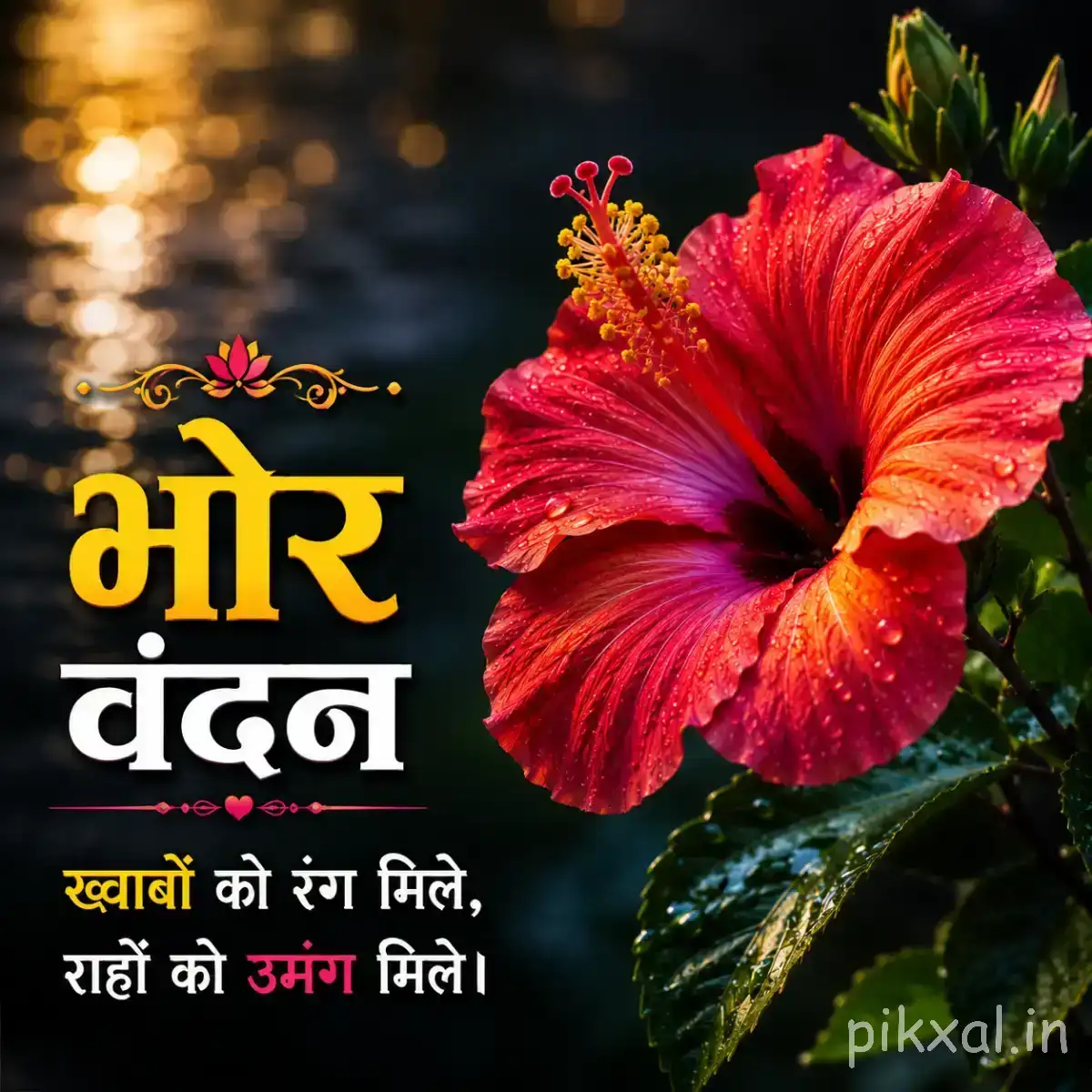 Large red flower with broad ruffled petals and dark center against a dark background with a Hindi morning wish