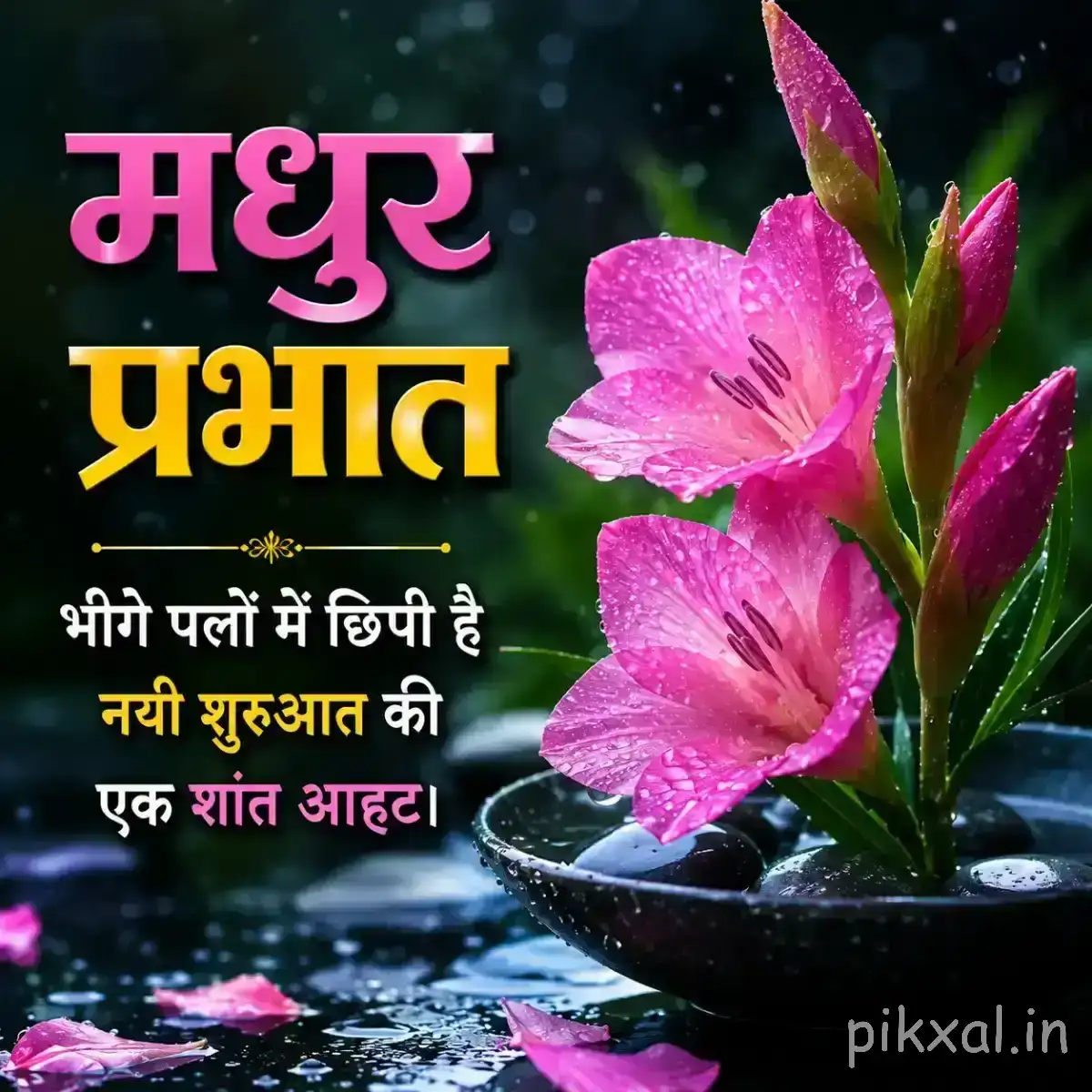 Pink flowers with elongated petals and green buds beside a calm water surface with a Hindi Good Morning wish