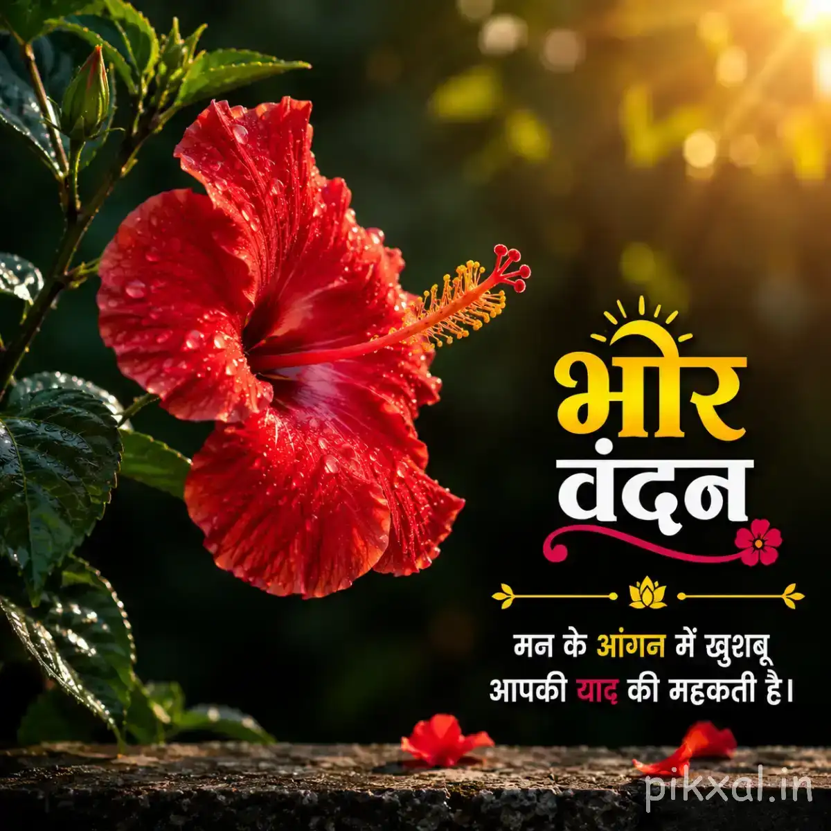 Single red flower with ruffled petals, green leaves, and a Hindi morning greeting