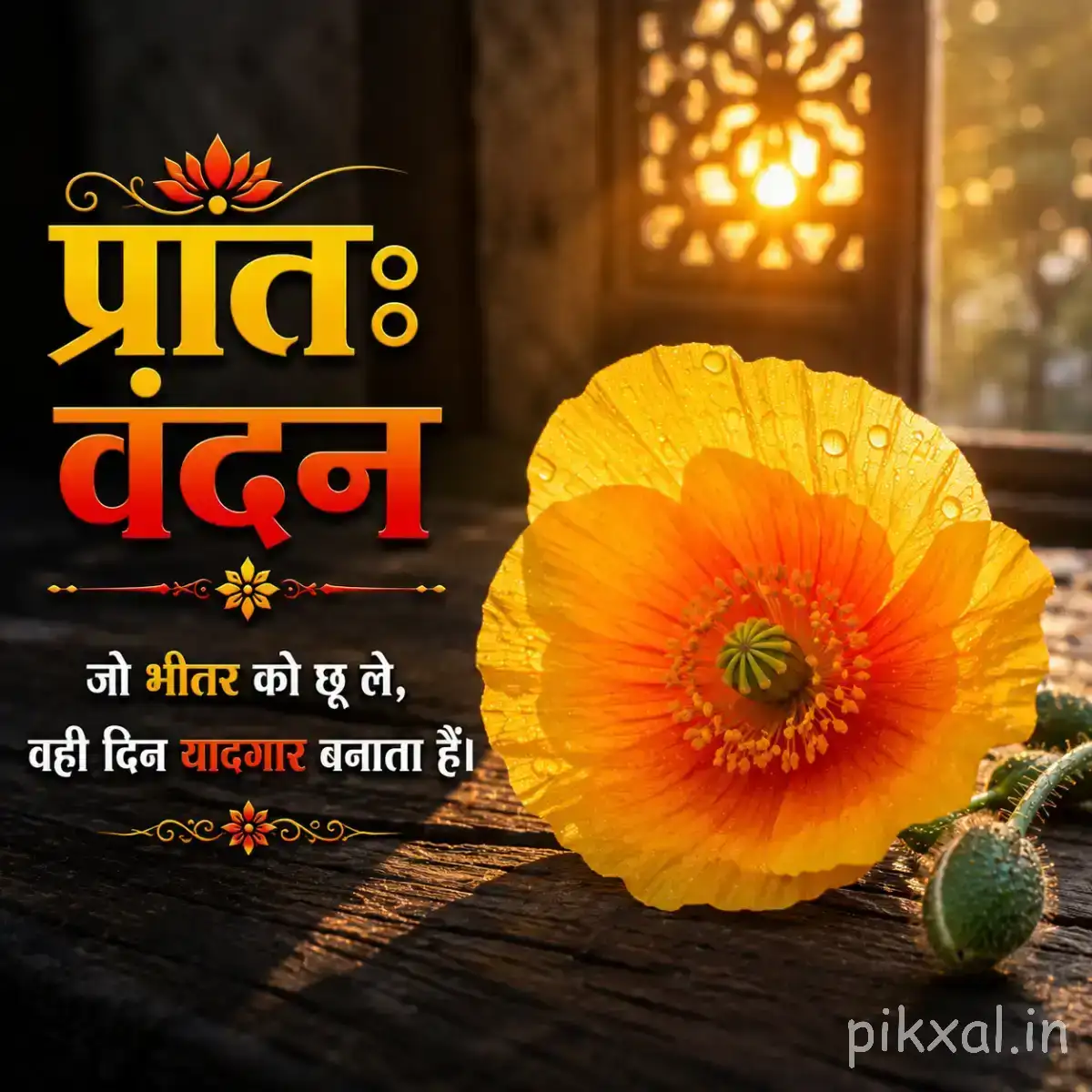 Single orange flower with layered petals in a small pot beside green foliage and a Hindi morning wish