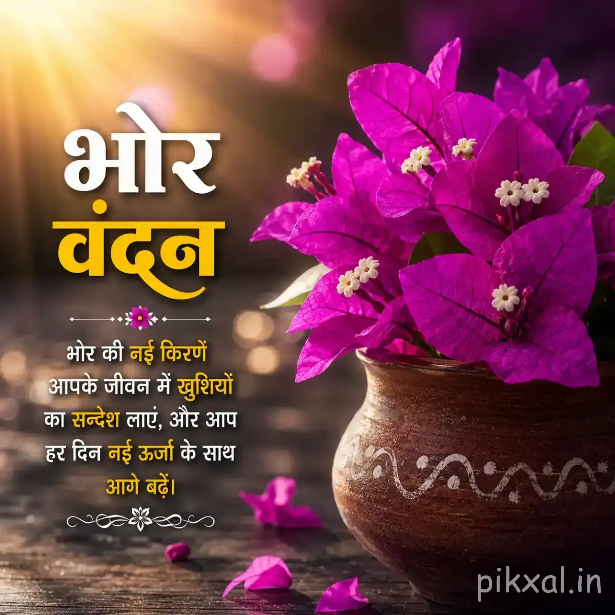 Multiple purple flowers with pale centers arranged in a clay pot against a softly lit background