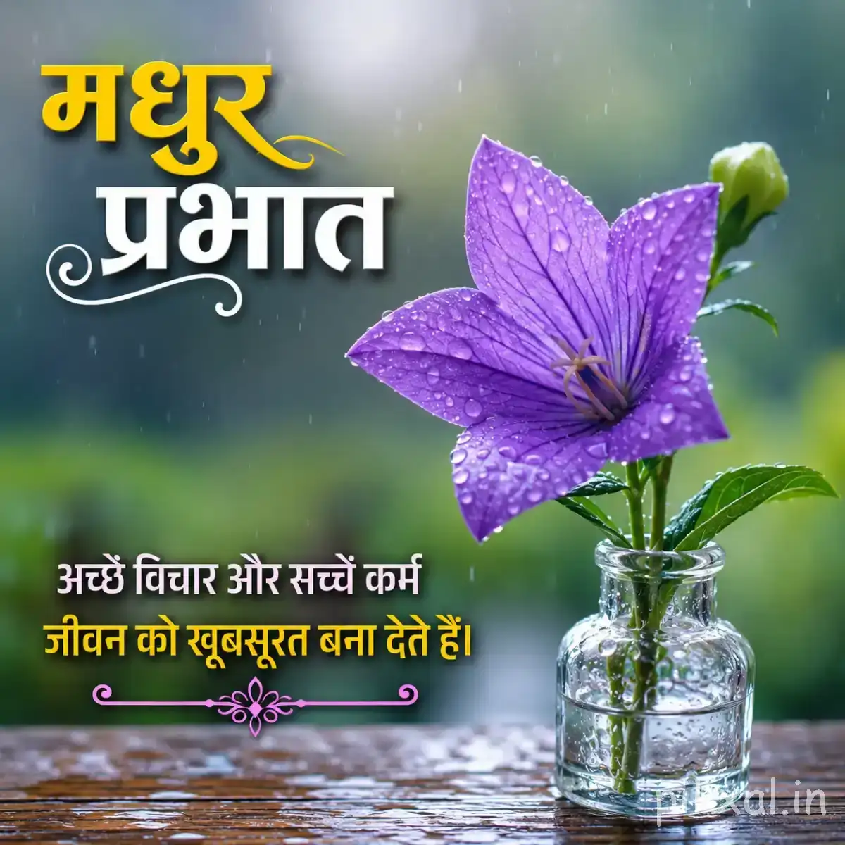 Single purple star-shaped flower with a green bud in a glass bottle beside reflective water