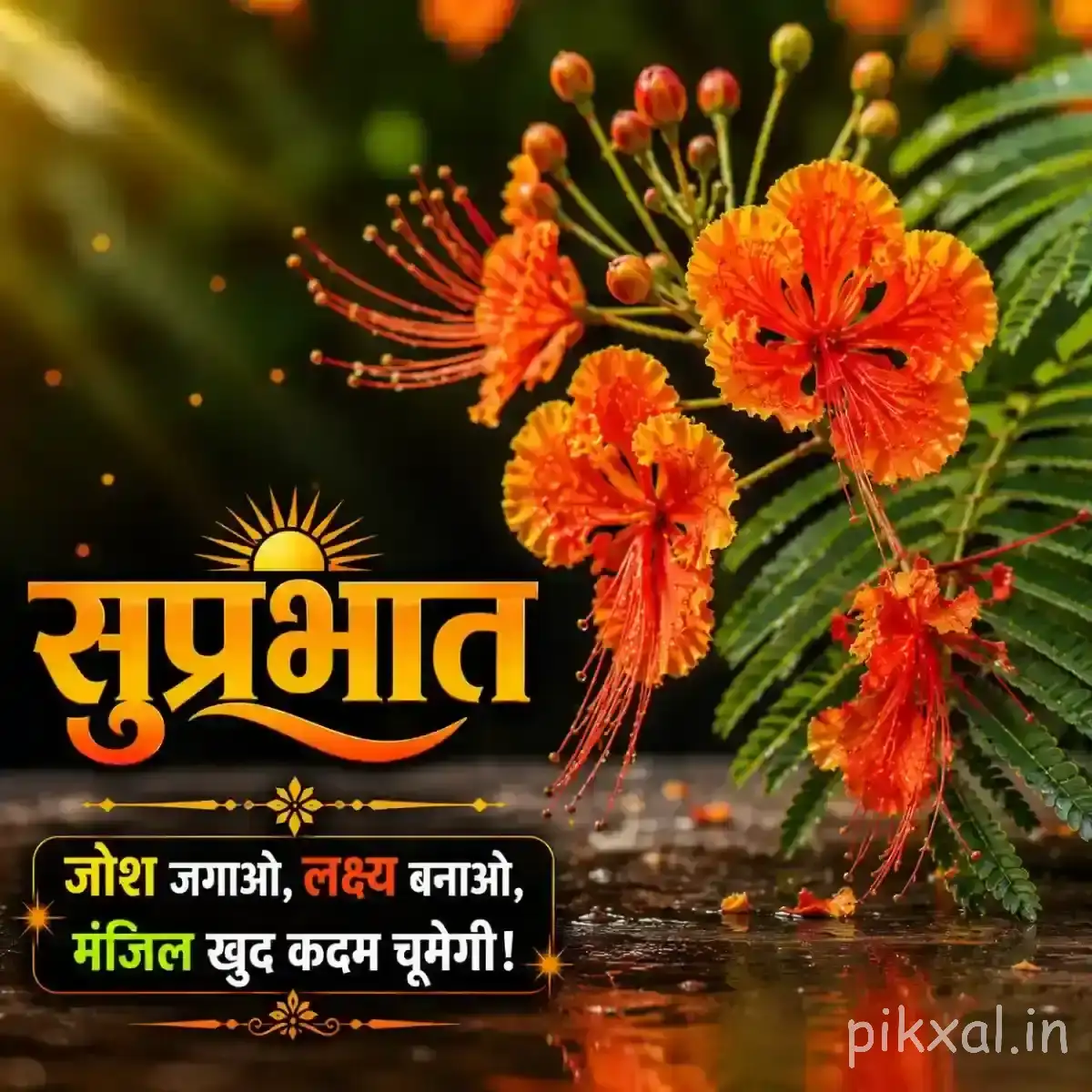 Orange-red clustered flowers with long stamens and green foliage beside a Hindi Good Morning greeting