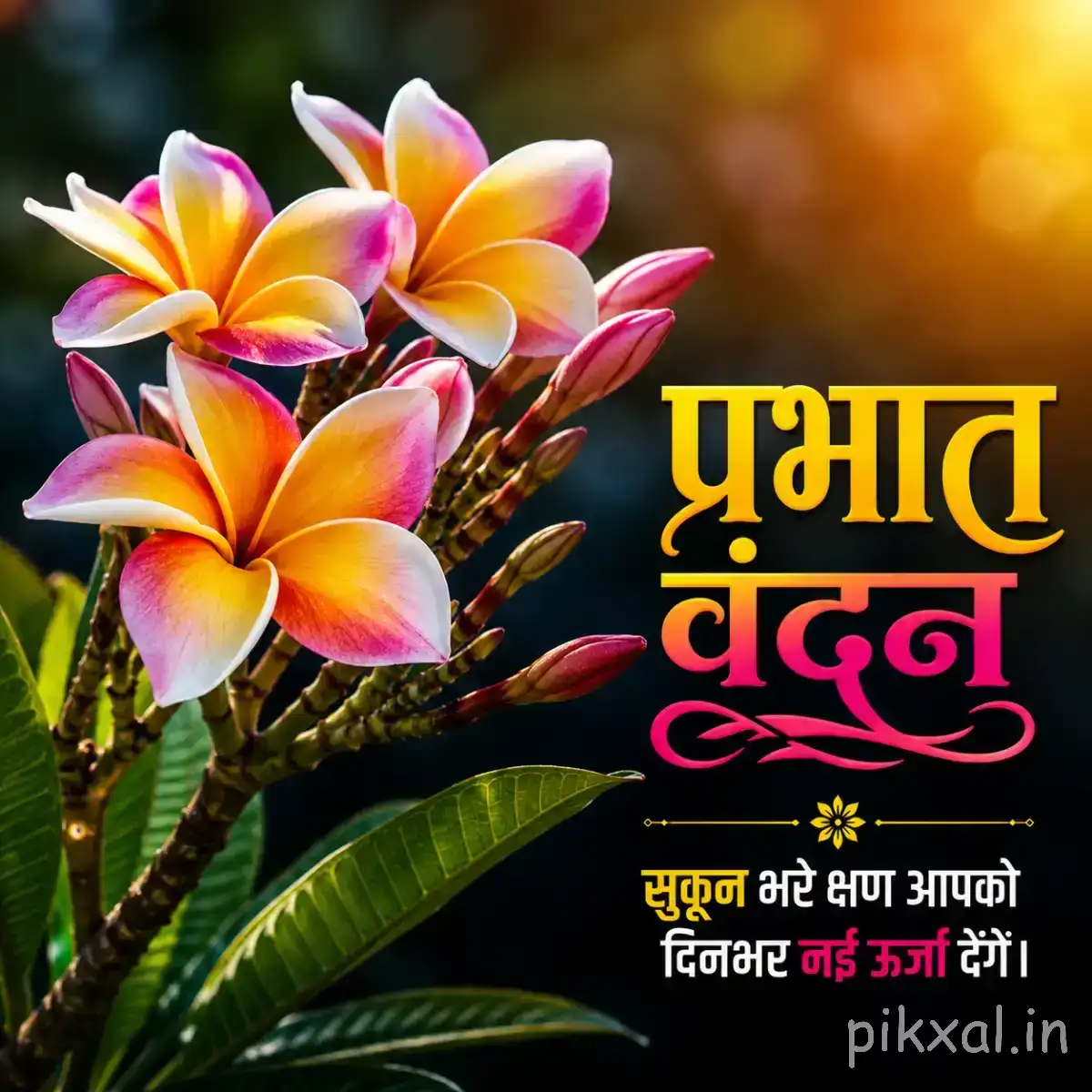 Pink, yellow, and white flowers arranged in a colorful cluster with green leaves and a Hindi morning wish