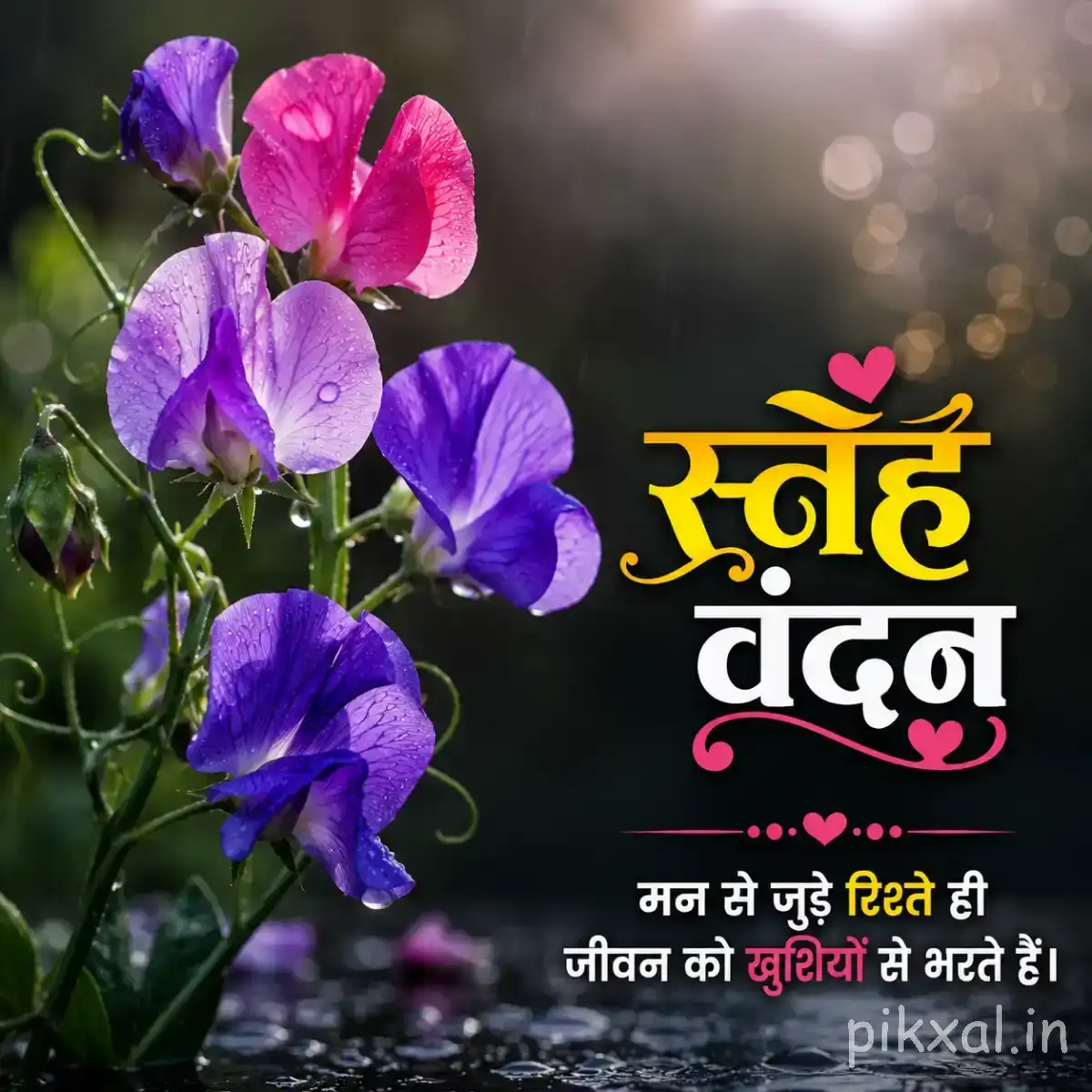 Purple and pink flowers with delicate petals among green foliage against a softly blurred background with a Hindi morning wish