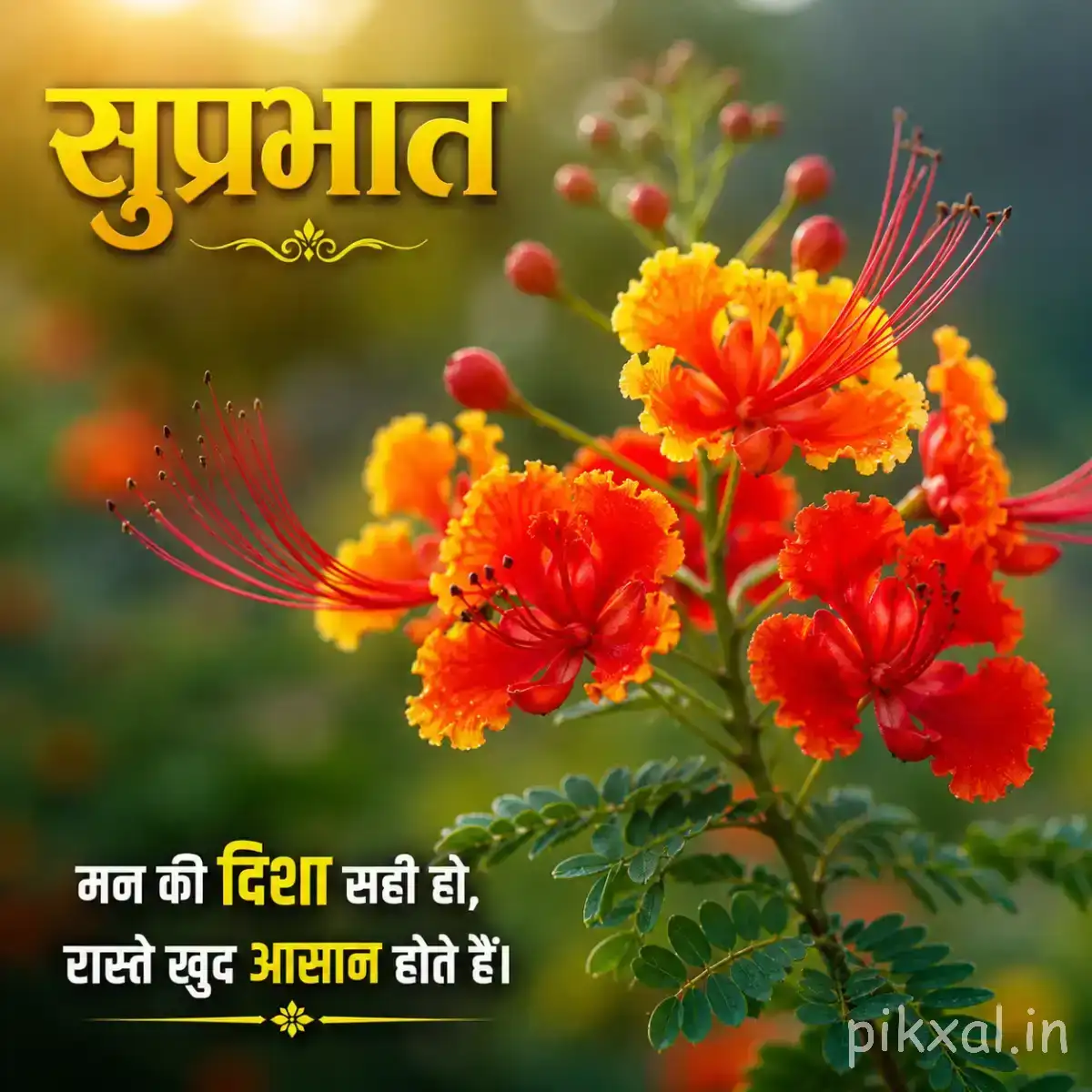 Orange-red flowers growing in a clustered bunch along a leafy branch with a Hindi Good Morning wish