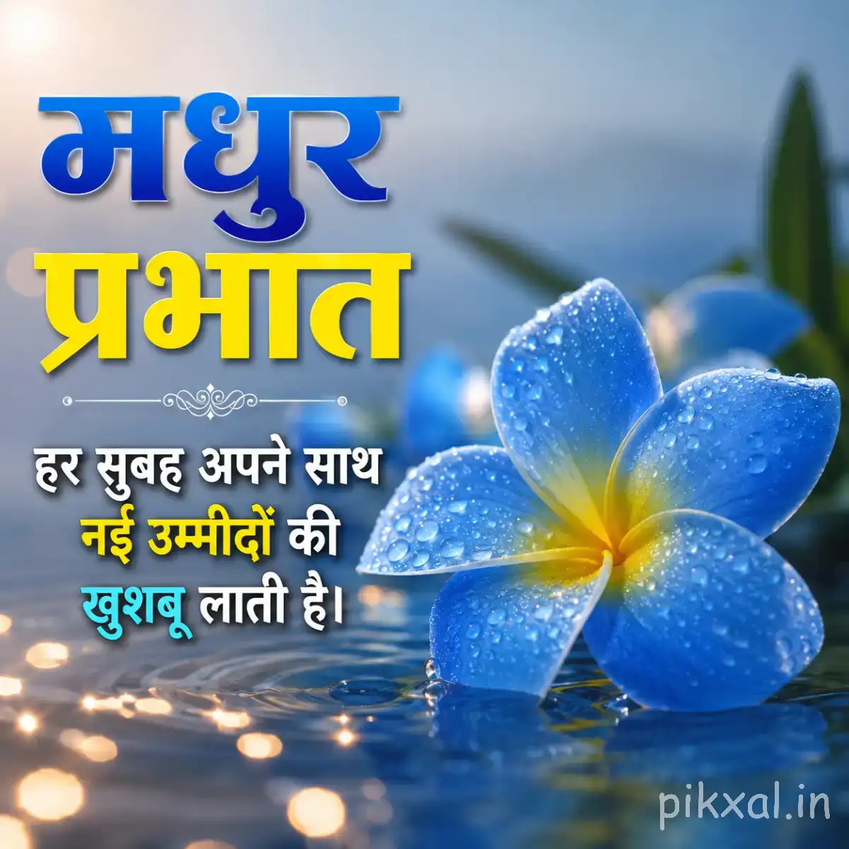 Blue and white flower with broad petals beside water droplets and green leaves with a Hindi morning message