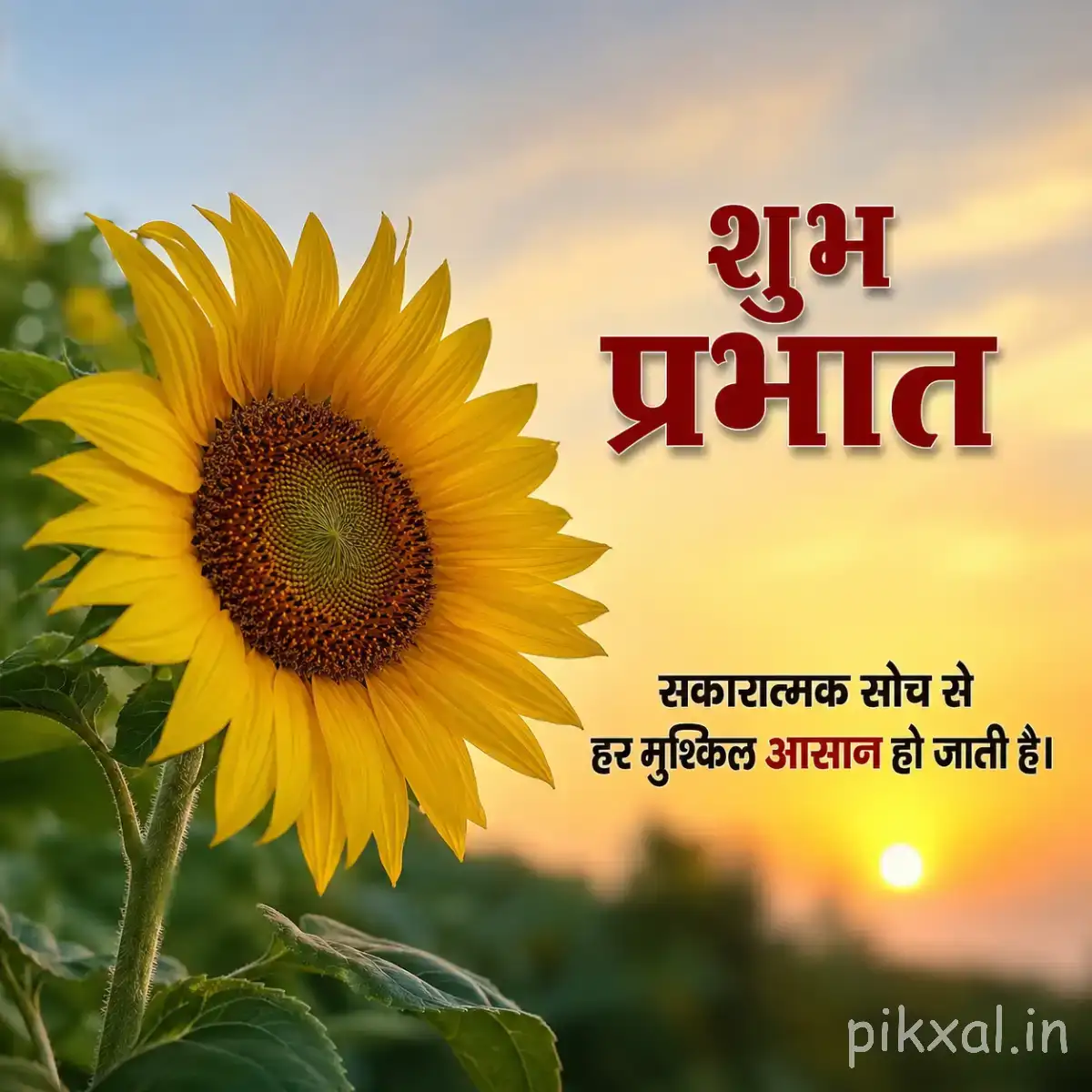 Large yellow flower with a dark center and green leaves against a bright sky with a Hindi morning wish