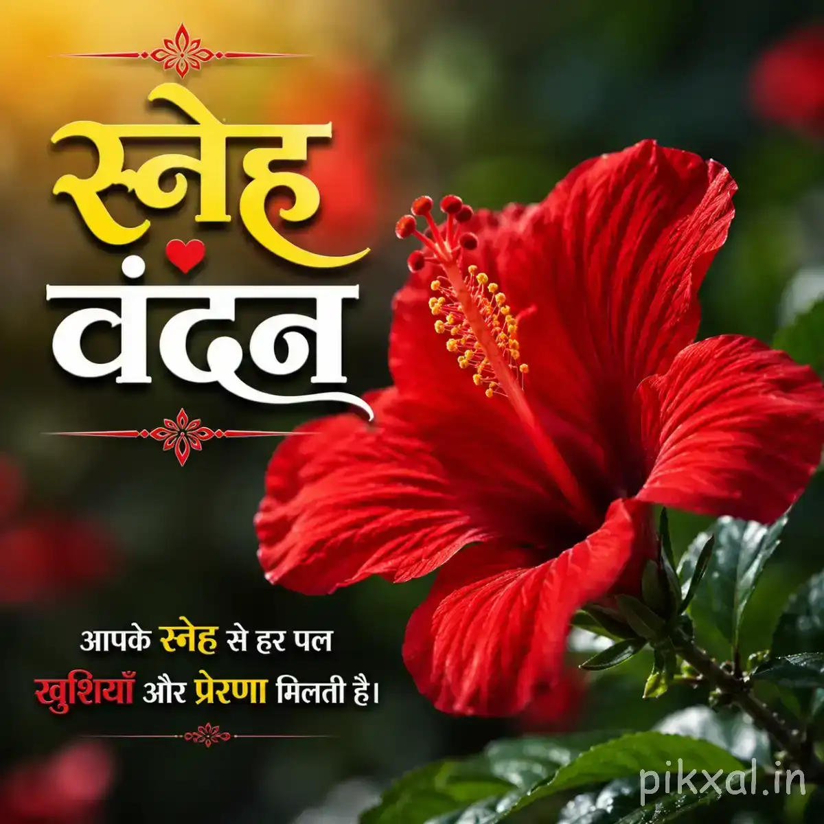 Large red flower with ruffled petals and green leaves against a dark blurred background with a Hindi morning wish