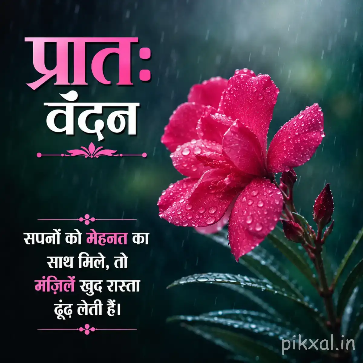 Pink flower with water droplets and green leaves against a dark blurred background with a Hindi morning wish