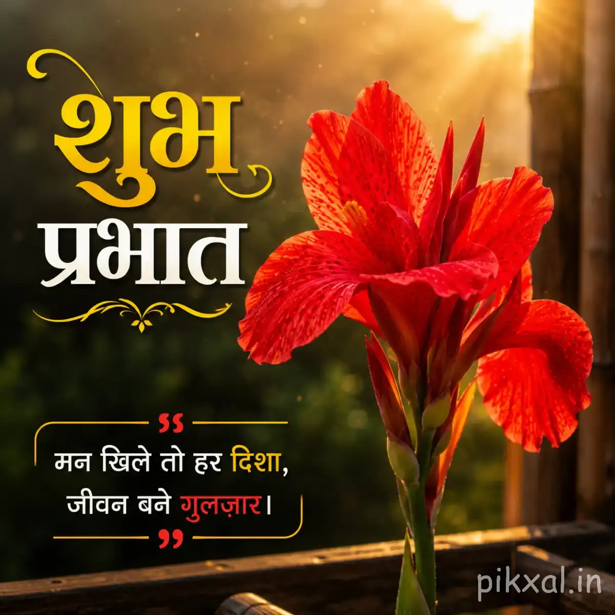 Red-orange flowers with layered petals and green leaves against warm sunlight with a Hindi Good Morning wish