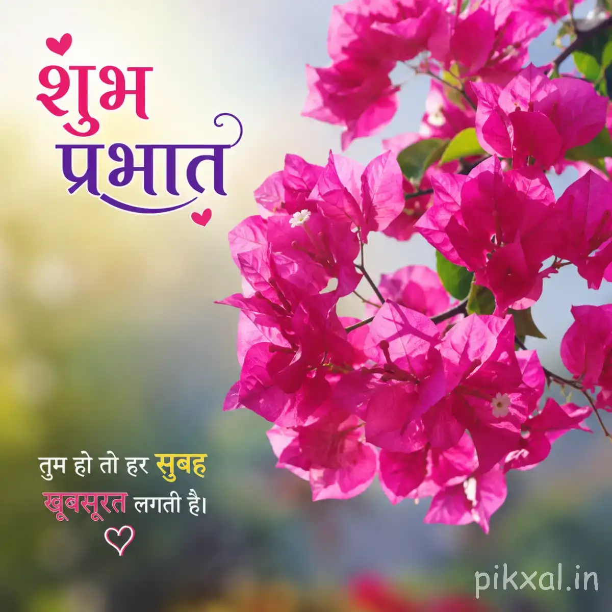 Cluster of bright pink flowers with green leaves against a softly blurred background with a Hindi morning wish