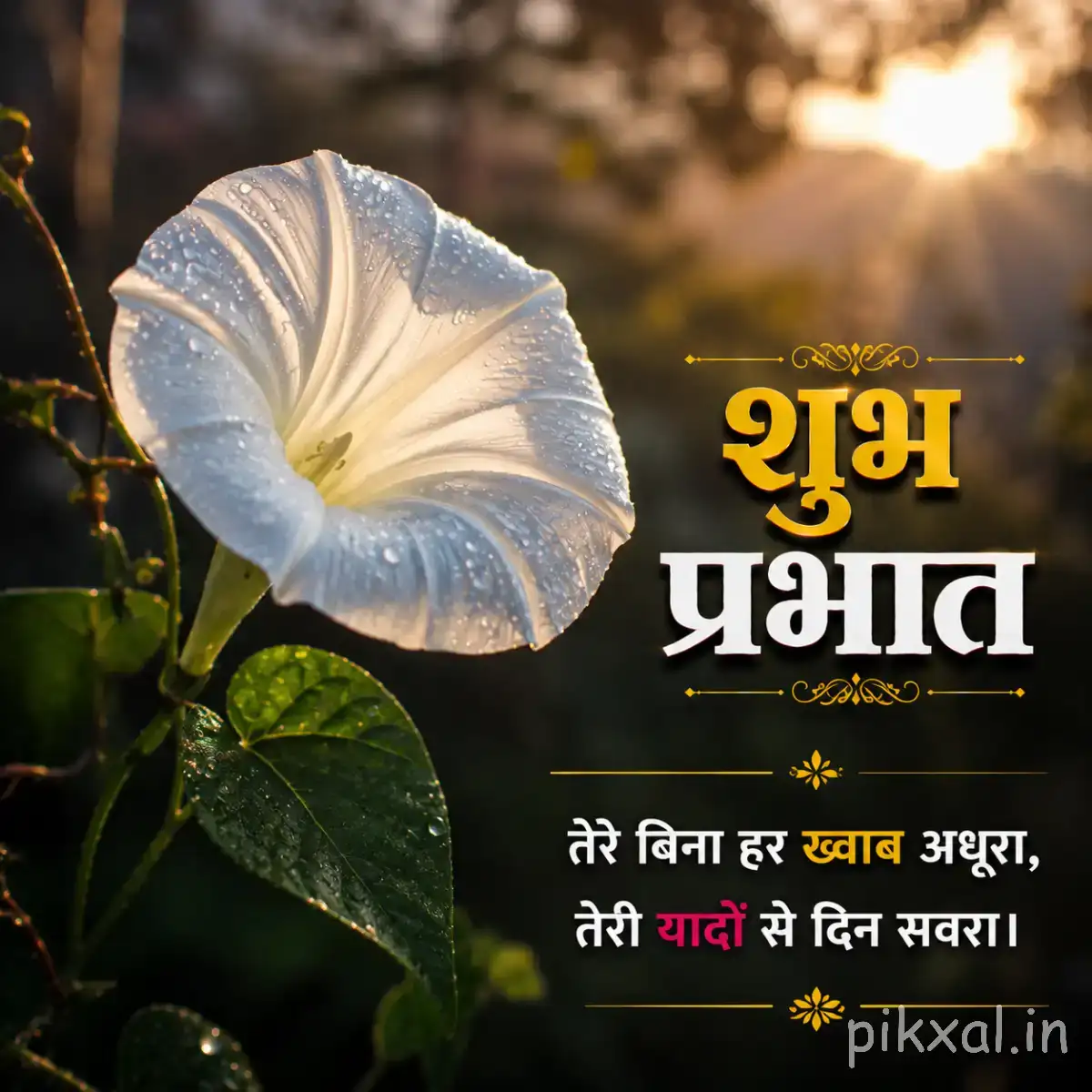 White funnel-shaped flower with green leaves against a softly blurred garden background and a Hindi morning wish