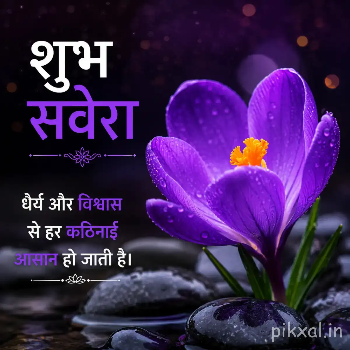 Purple flower with bright centers growing beside dark stones with a Hindi morning wish