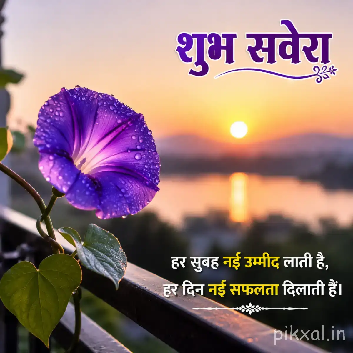 Single purple flower with a dark center on a leafy vine against a sunset background with a Hindi morning wish