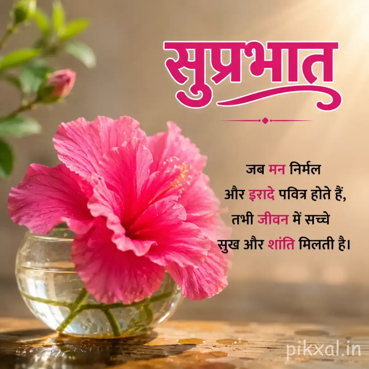 Large pink ruffled flower in a glass vase with green leaves and a Hindi Good Morning message