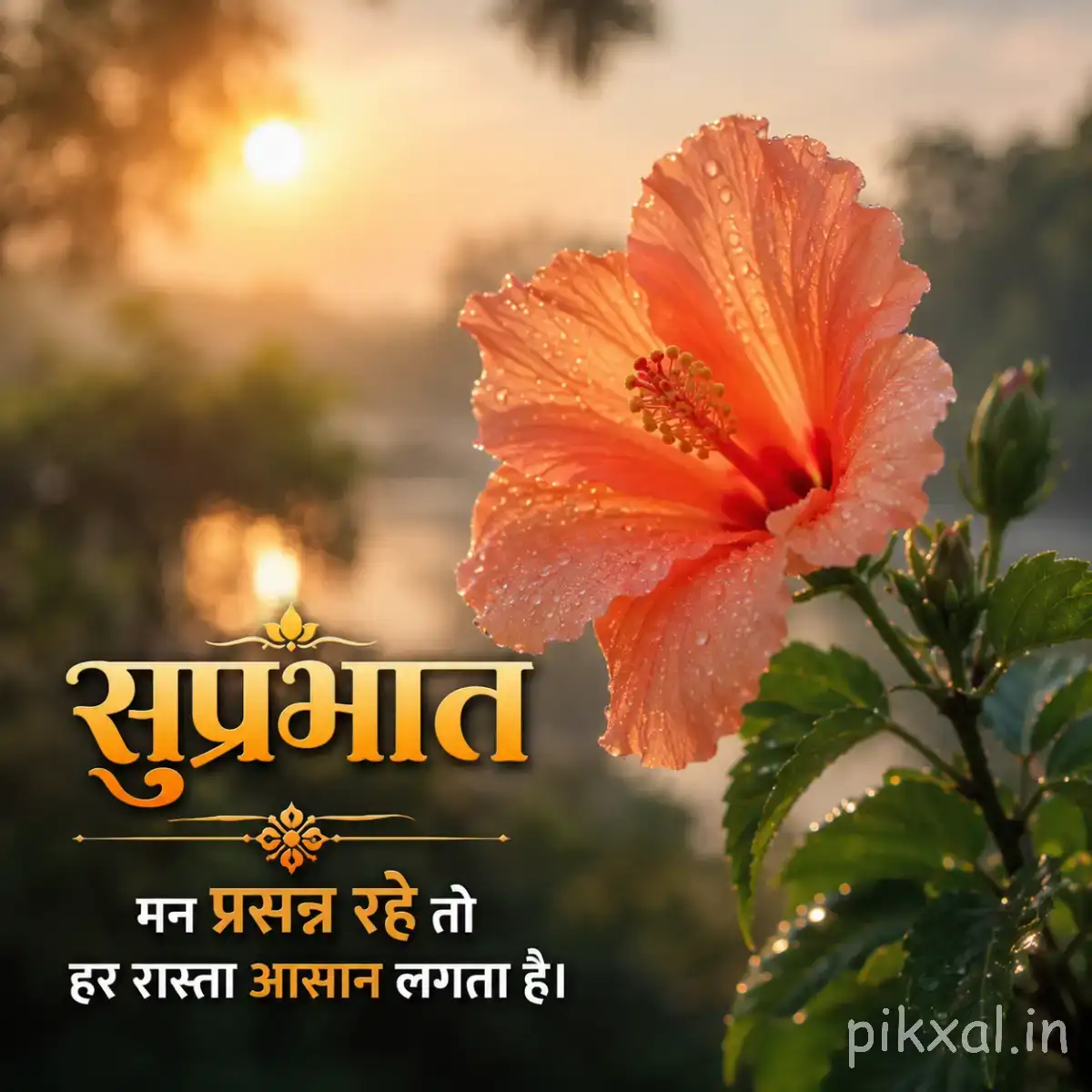 Single orange flower with ruffled petals and green leaves against warm sunlight with a Hindi morning greeting
