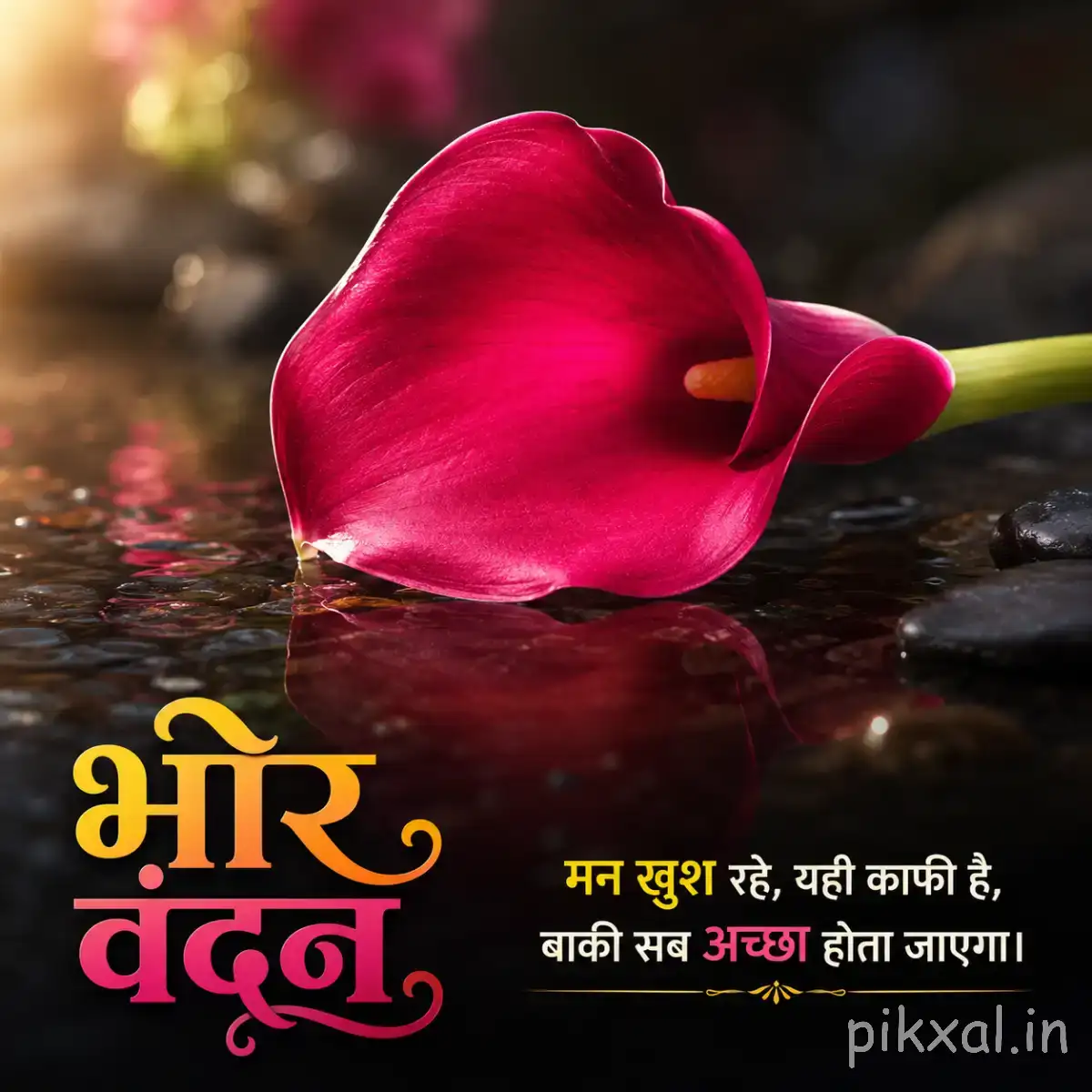 Dark pink cup-shaped flower with curled petals beside water against a blurred background with a Hindi morning wish