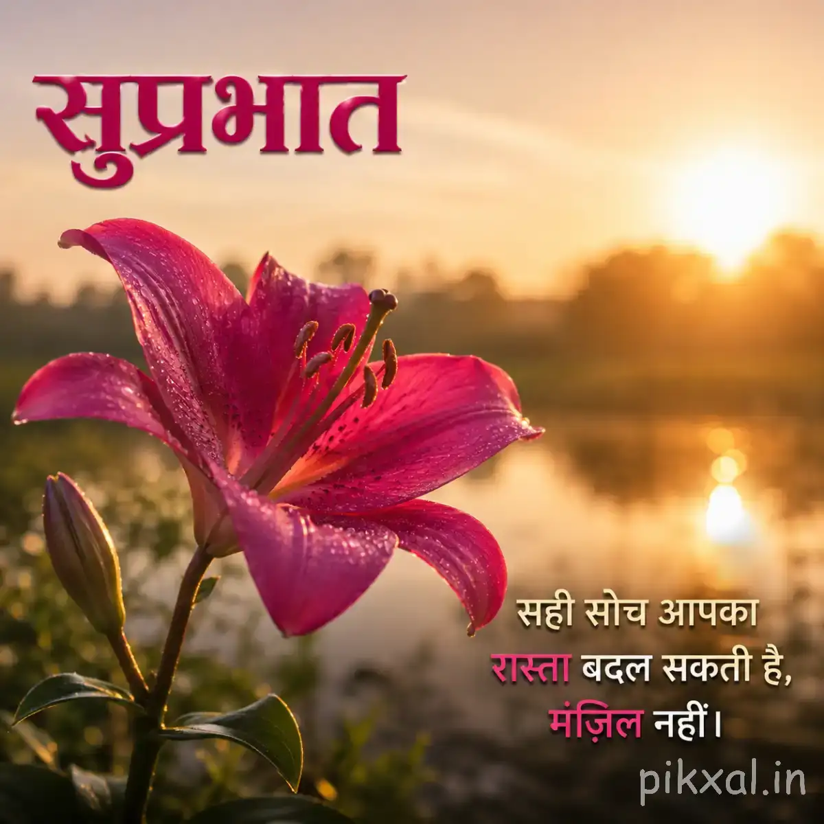 Large magenta flower with elongated petals against a warm sunset background and a Hindi Good Morning message