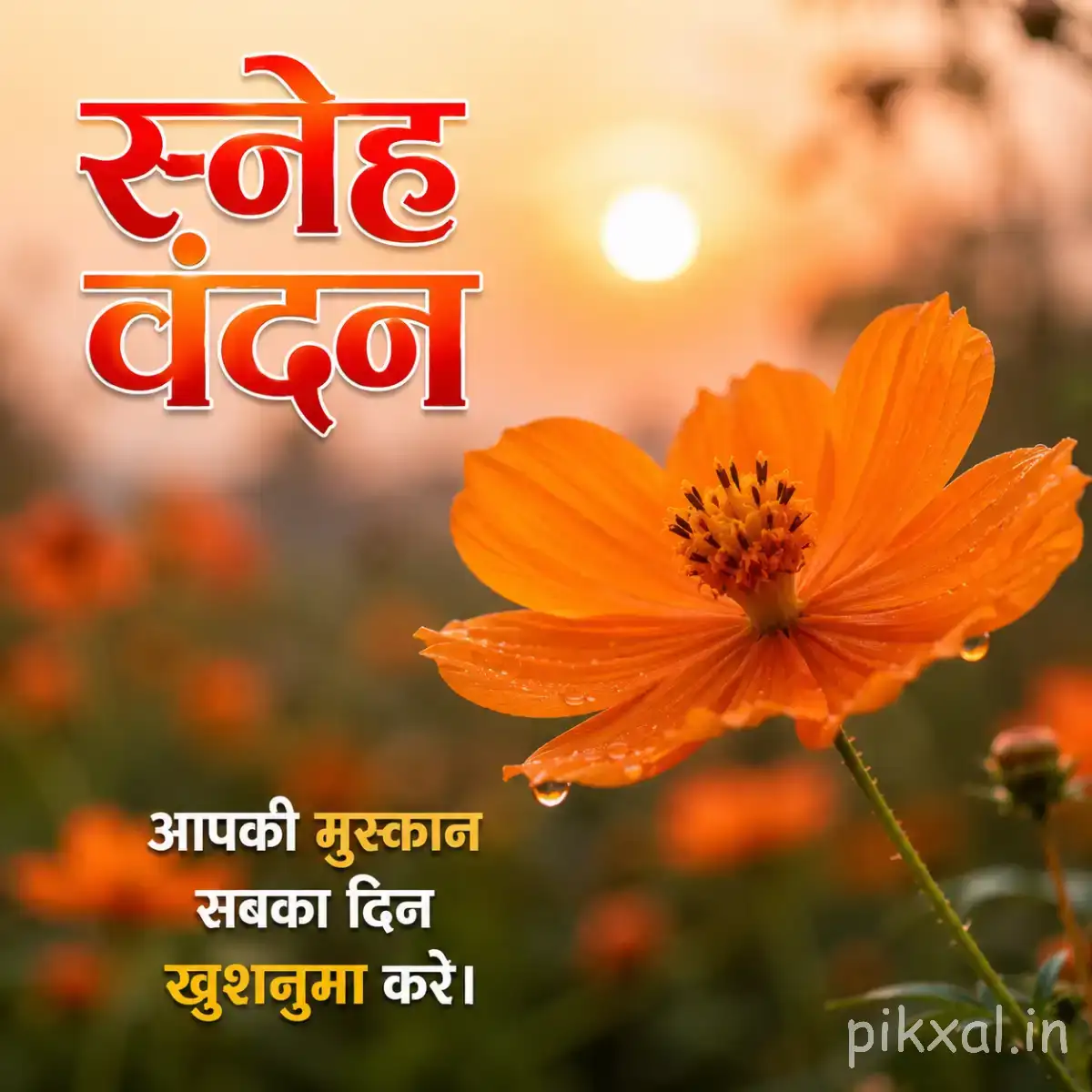 Single orange flower with dark center against warm blurred greenery and a Hindi morning wish
