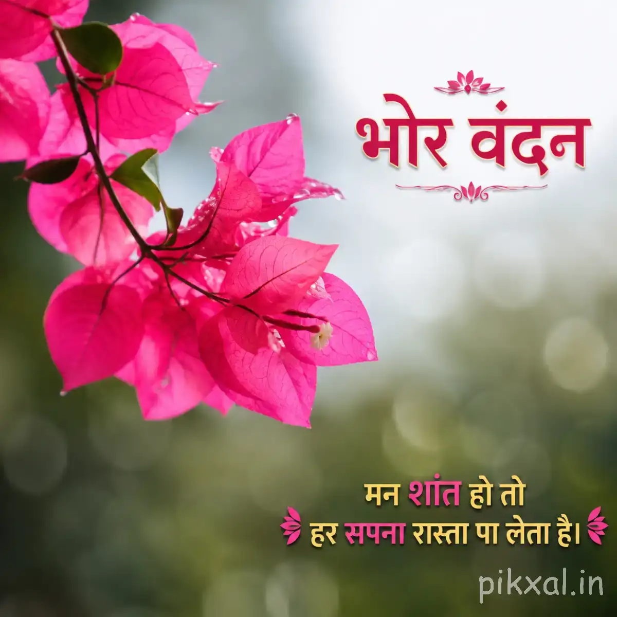 Several bright pink flowers growing along a leafy branch against a softly blurred background with a Hindi morning wish