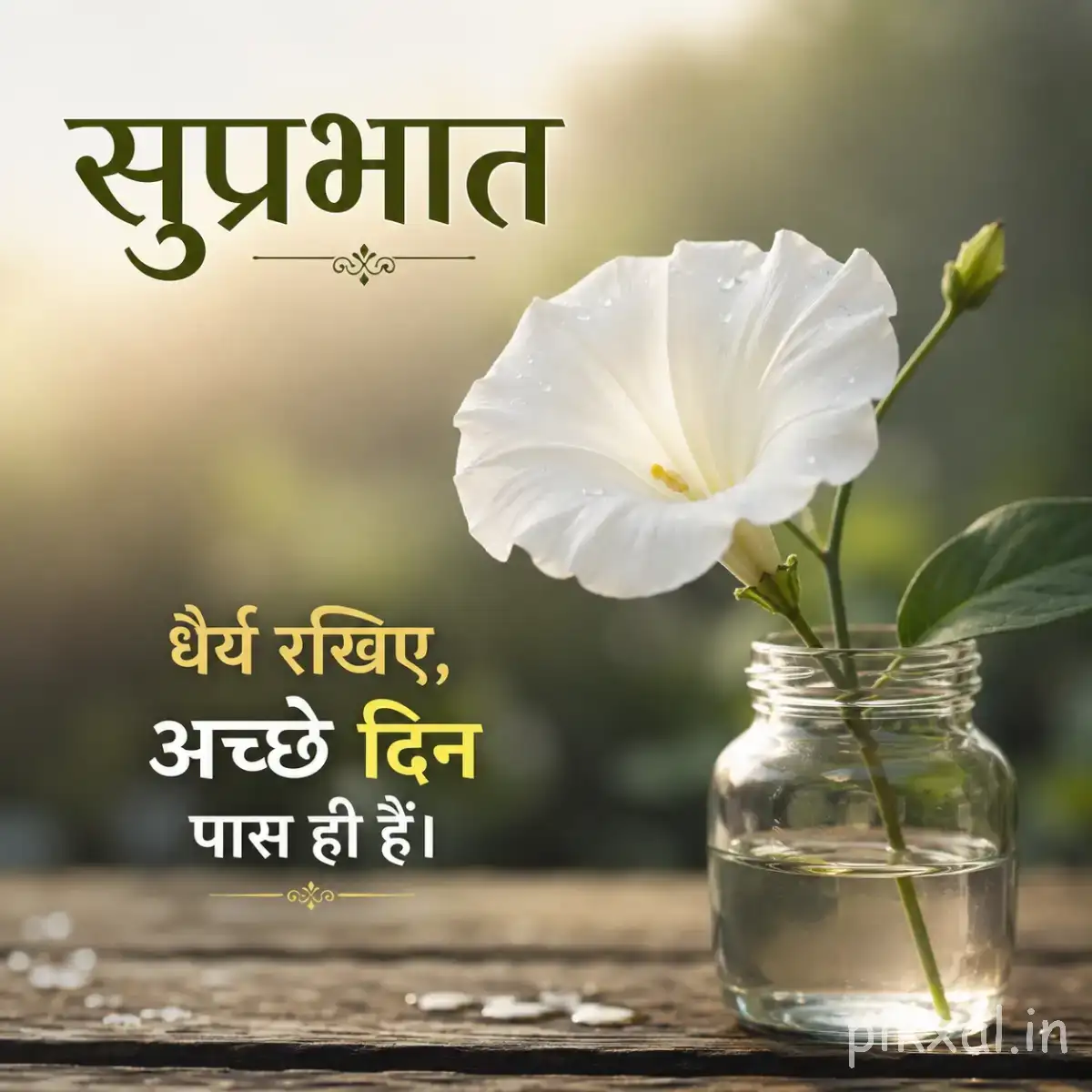 Single white flower with broad petals in a glass jar beside green leaves and a Hindi morning message