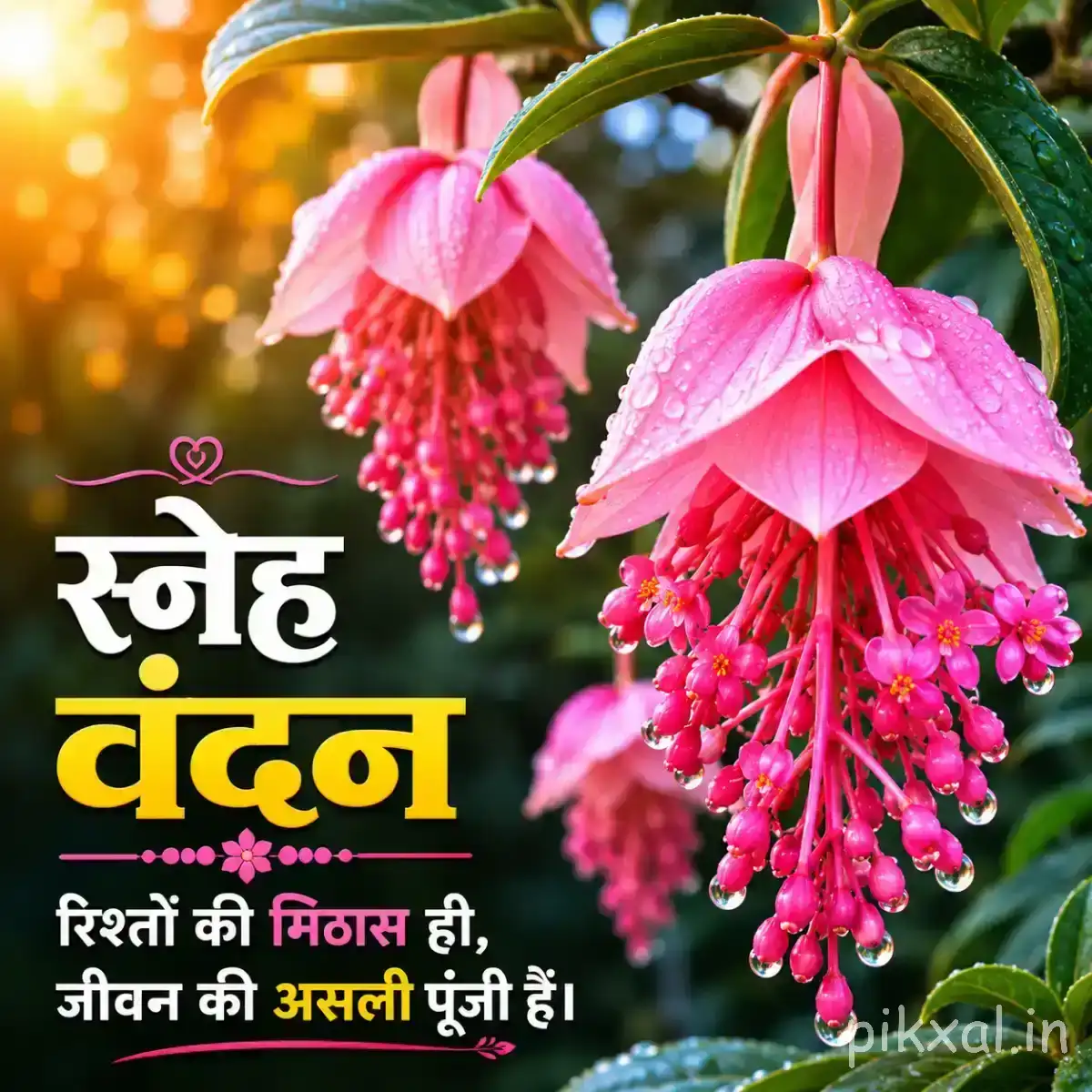 Pink hanging flowers with long dangling stamens and green leaves against a softly blurred background with a Hindi morning wish