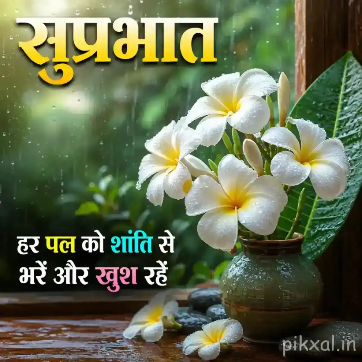White five-petaled flowers with green leaves on a wooden table in a rainy monsoon morning setting