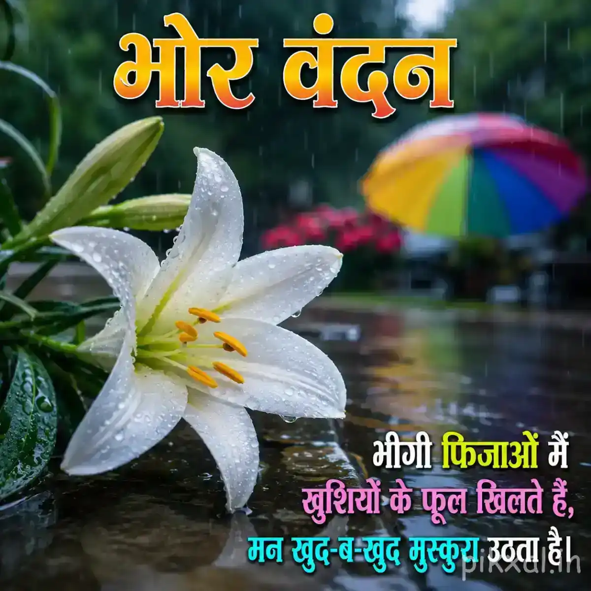 White flower with yellow center and green leaves covered in raindrops with a भोर वंदन quote