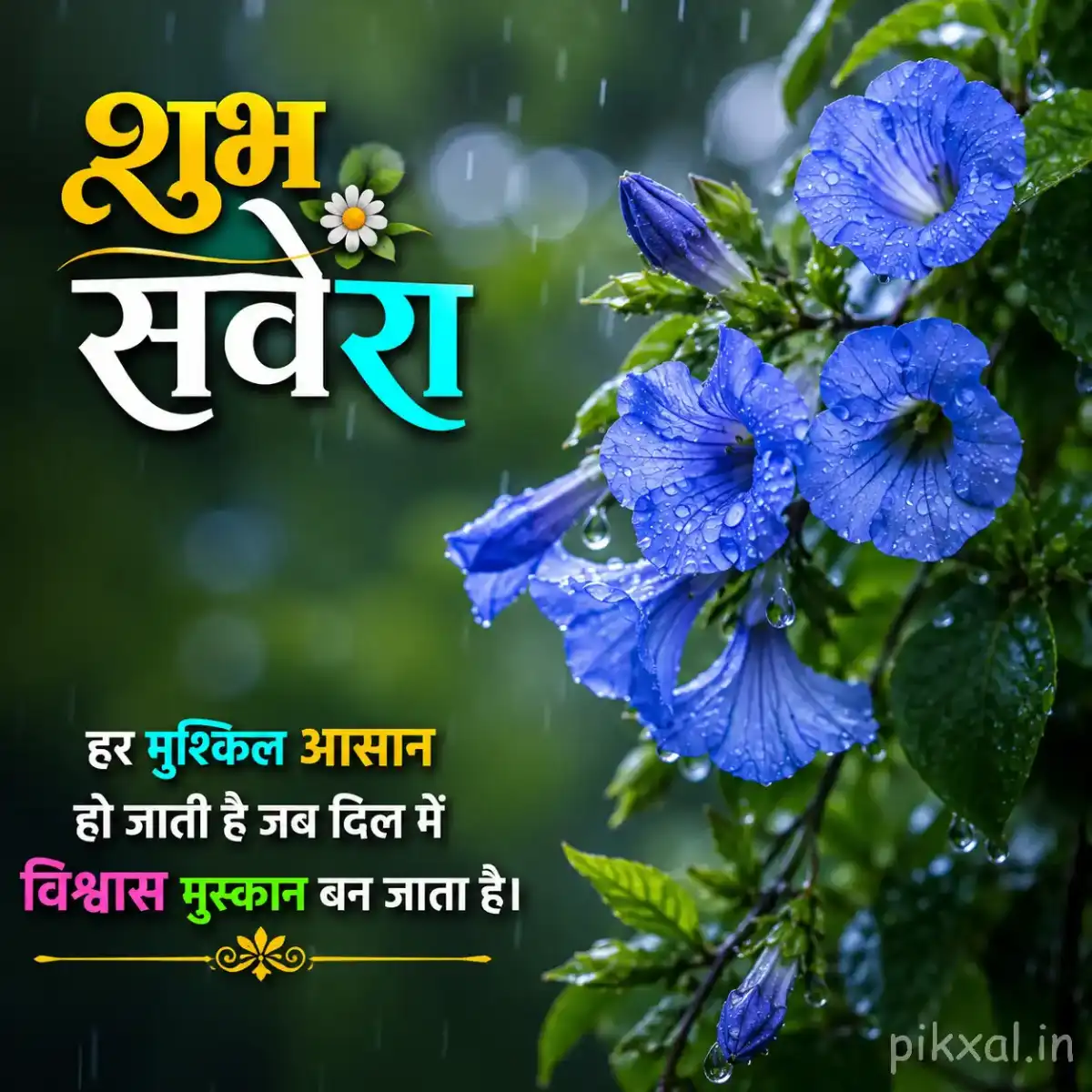 Cluster of blue five-petaled flowers with green leaves and raindrops against a lush rainy garden background