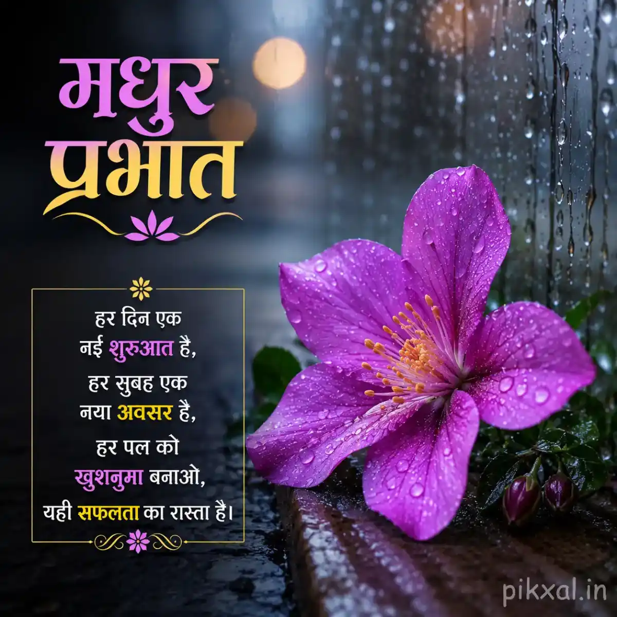 Single purple five-petaled flower with green leaves and raindrops beside a wet garden path with a मधुर प्रभात quote