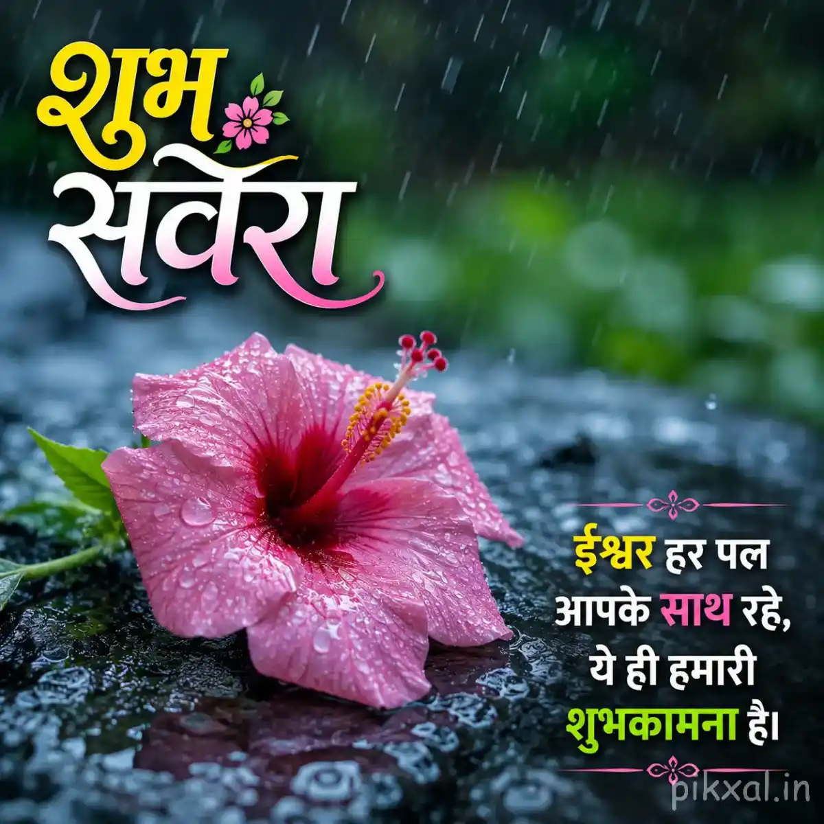 Single pink hibiscus flower with green leaves and raindrops beside a wet pond with a सुप्रभात quote