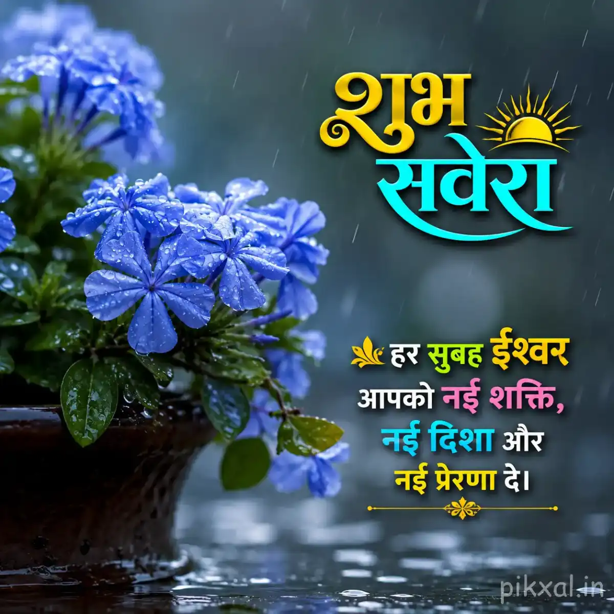 Cluster of blue flowers with green leaves and raindrops in a pot against a lush monsoon garden background with a शुभ सवेरा quote