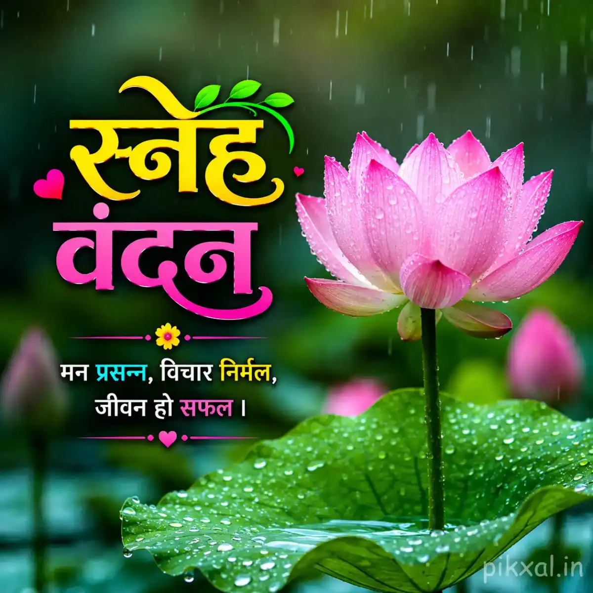 Single pink lotus flower with green lily pads and raindrops floating on a rainy pond with a स्नेह वंदन quote