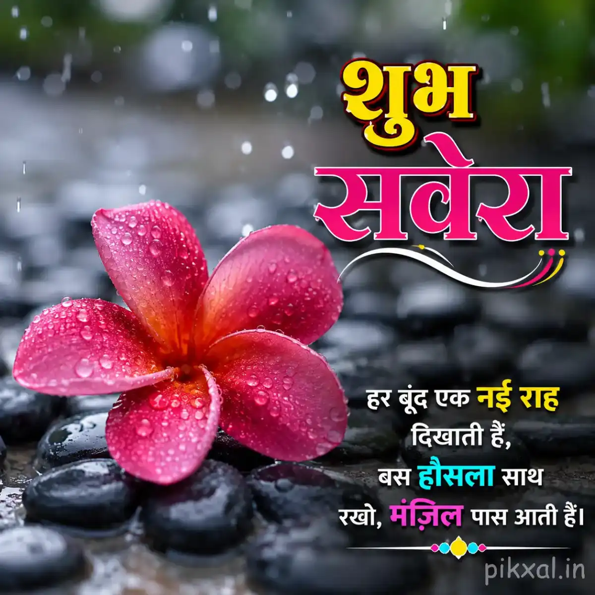 Single red-pink flower with green leaves and raindrops resting beside wet black stones with a शुभ सवेरा quote