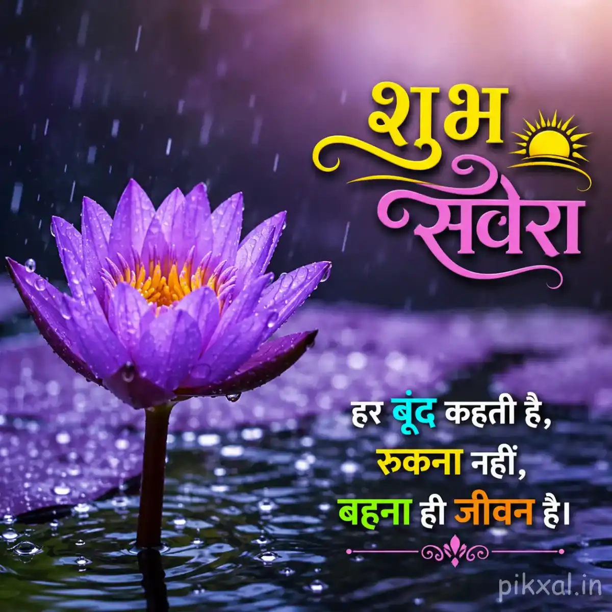 Single purple water lily with a yellow center, green lily pads and raindrops floating on a rainy pond with a शुभ सवेरा quote